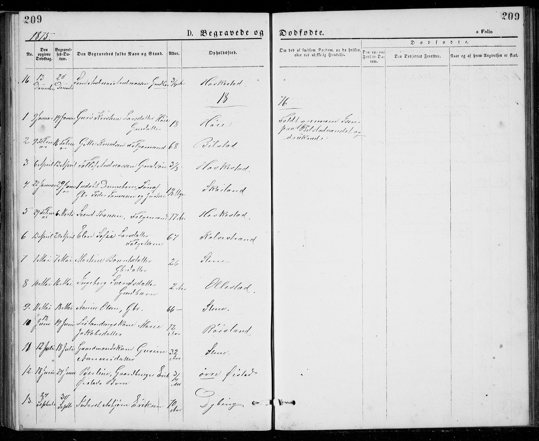Lund sokneprestkontor, SAST/A-101809/S07/L0005: Parish register (copy) no. B 5, 1875-1889, p. 209