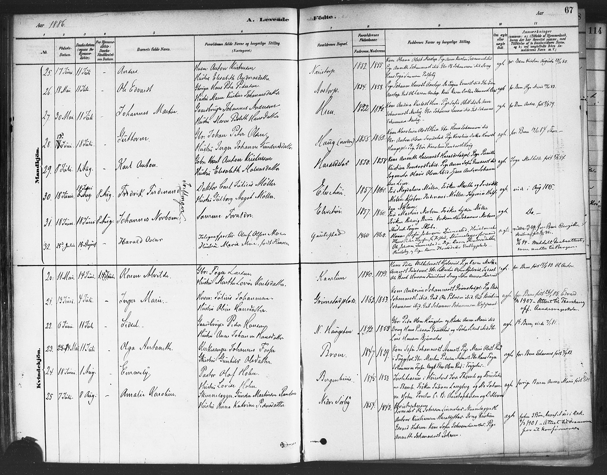 Rakkestad prestekontor Kirkebøker, AV/SAO-A-2008/F/Fa/L0012: Parish register (official) no. I 12, 1878-1893, p. 67