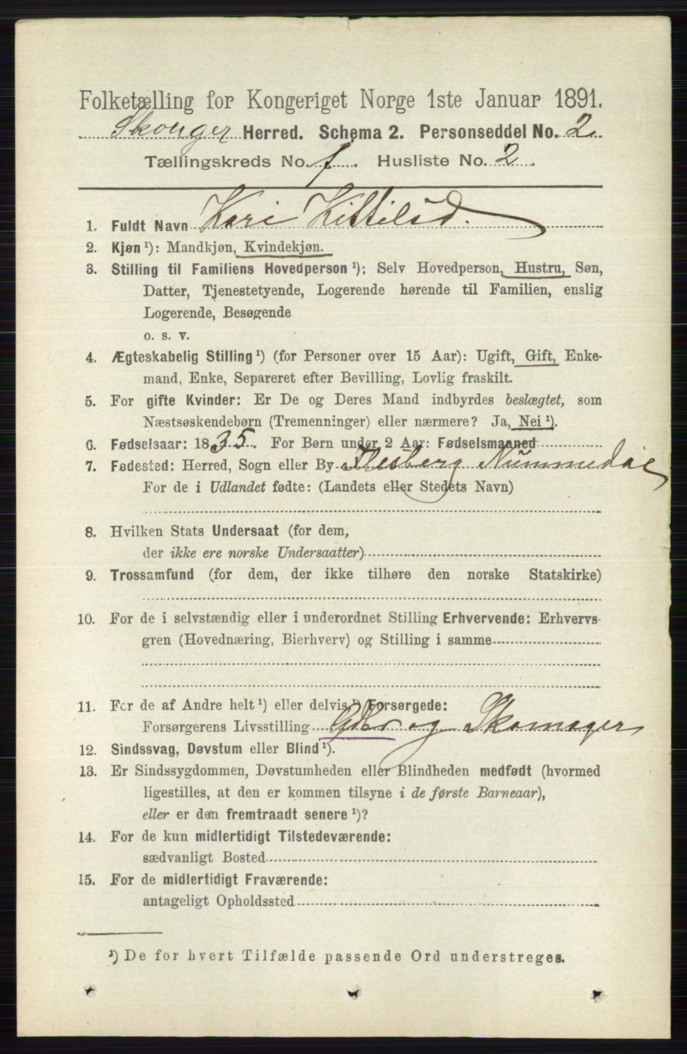 RA, 1891 census for 0712 Skoger, 1891, p. 99