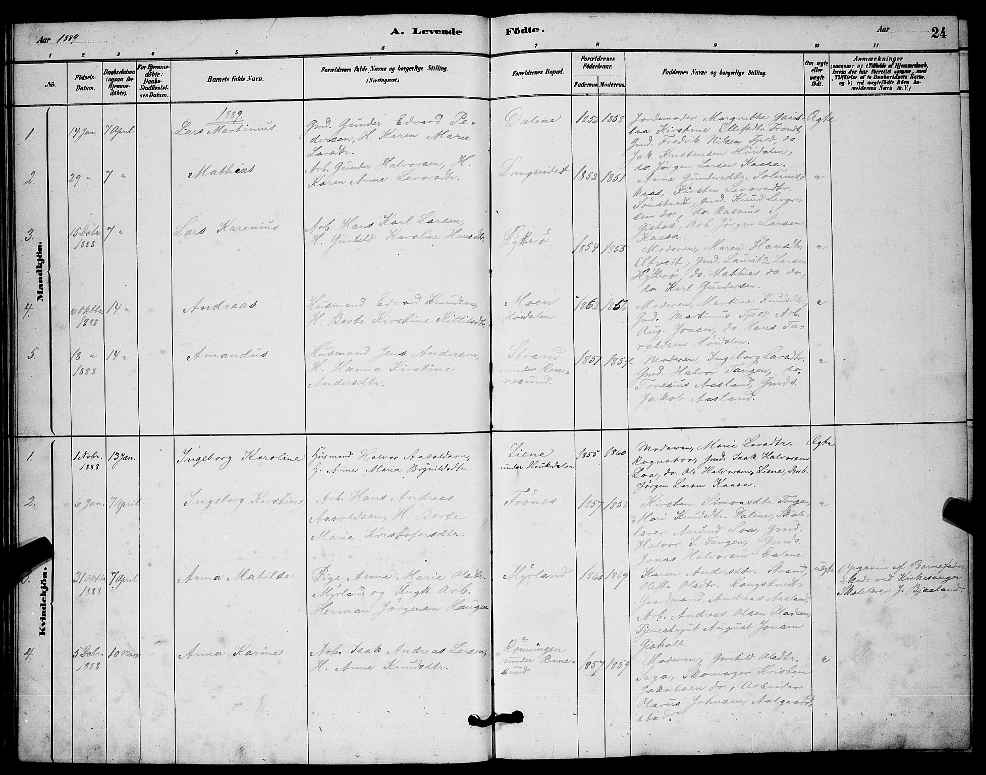 Solum kirkebøker, SAKO/A-306/G/Gc/L0001: Parish register (copy) no. III 1, 1880-1902, p. 24