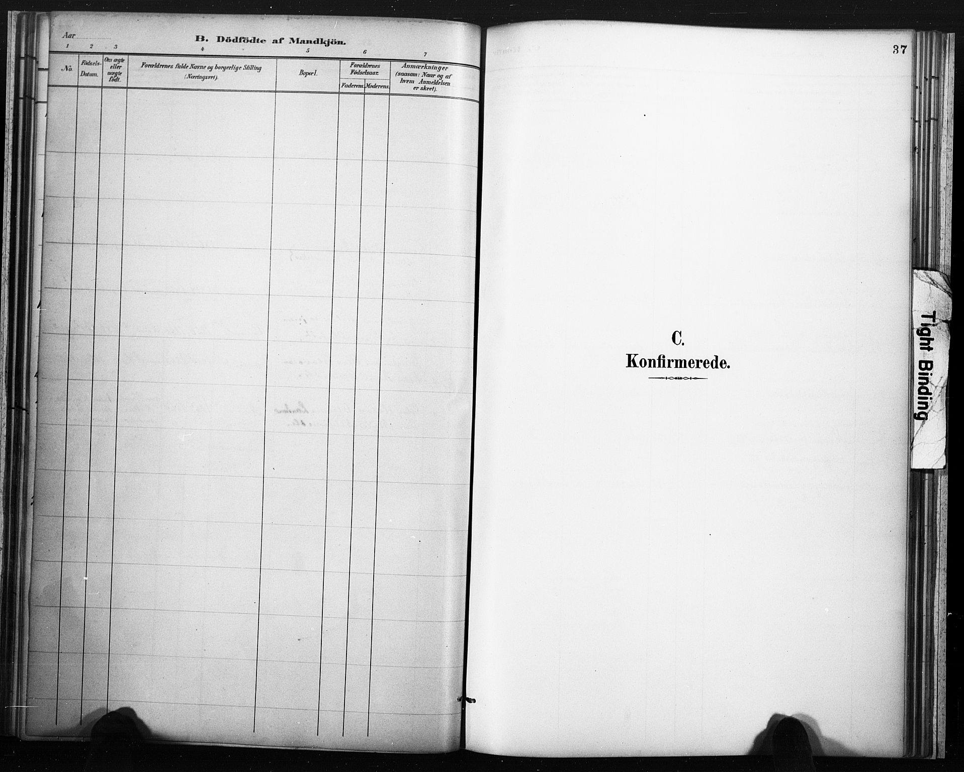 Lårdal kirkebøker, SAKO/A-284/F/Fc/L0002: Parish register (official) no. III 2, 1887-1906, p. 37
