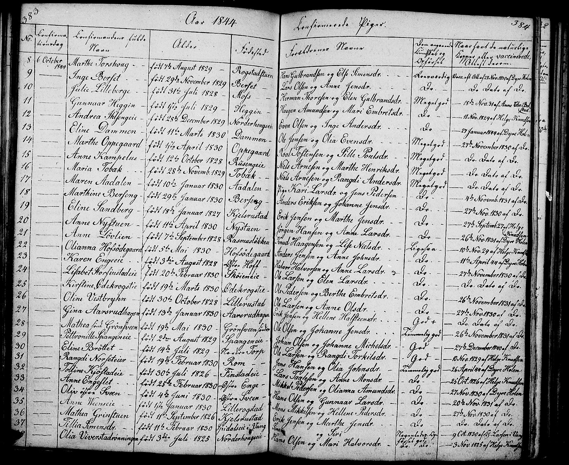 Løten prestekontor, SAH/PREST-022/L/La/L0002: Parish register (copy) no. 2, 1832-1850, p. 383-384