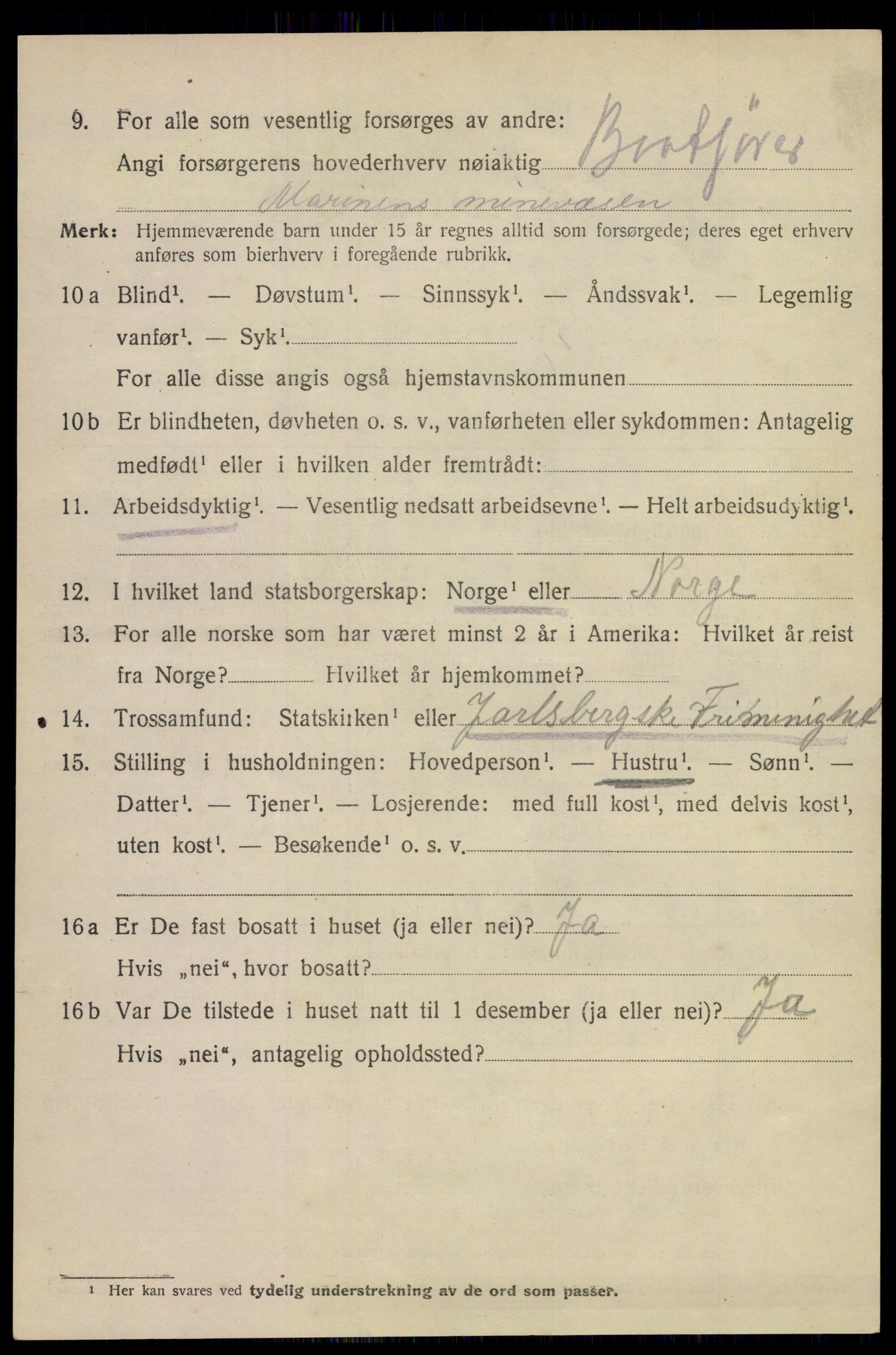 SAKO, 1920 census for Horten, 1920, p. 10308