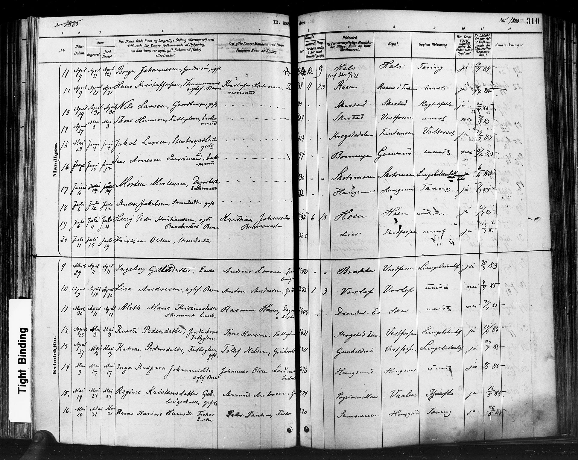 Eiker kirkebøker, SAKO/A-4/F/Fb/L0001: Parish register (official) no. II 1, 1878-1888, p. 310