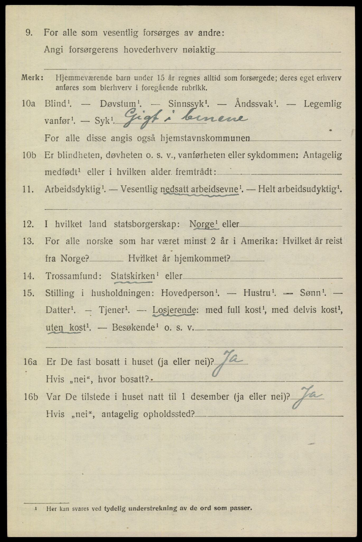 SAKO, 1920 census for Heddal, 1920, p. 4571