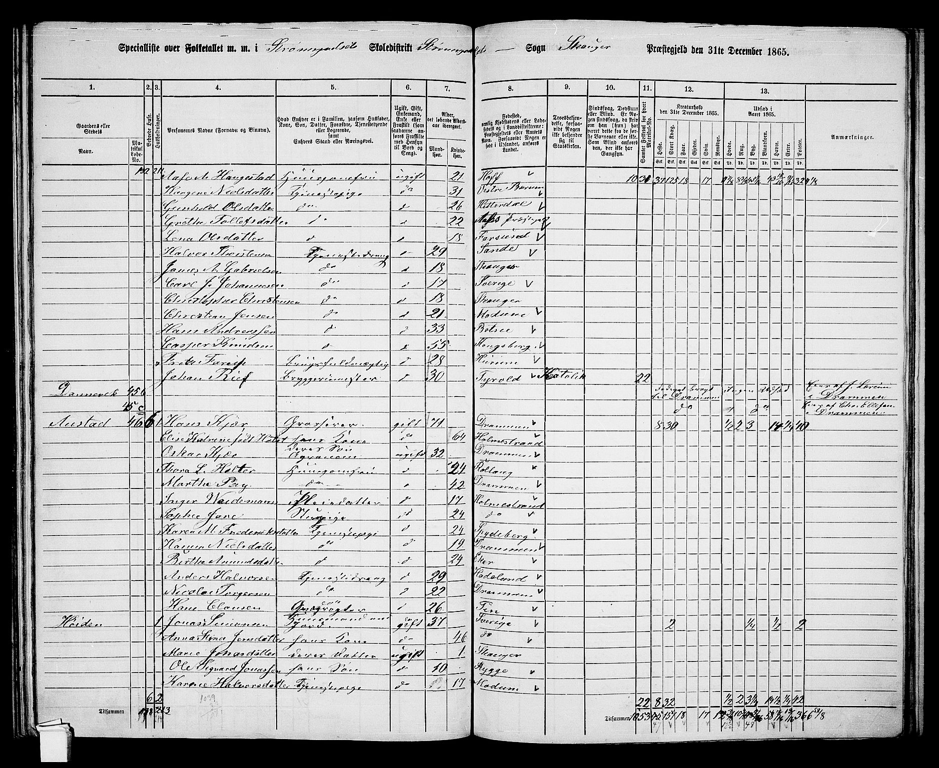 RA, 1865 census for Skoger, 1865, p. 151