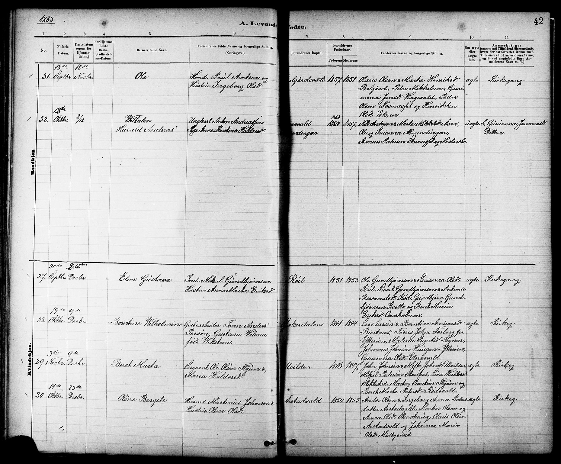 Ministerialprotokoller, klokkerbøker og fødselsregistre - Nord-Trøndelag, AV/SAT-A-1458/724/L0267: Parish register (copy) no. 724C03, 1879-1898, p. 42