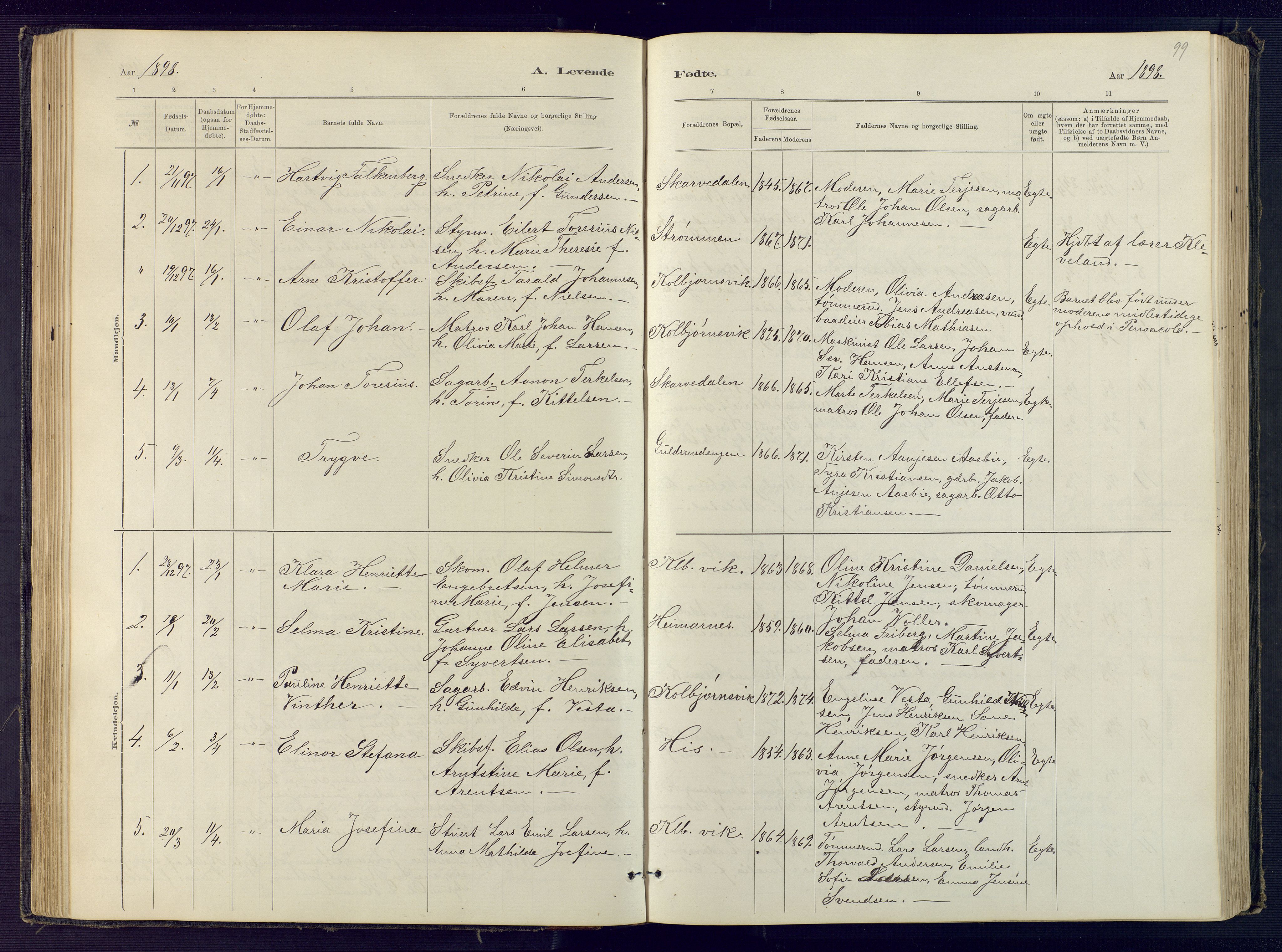 Hisøy sokneprestkontor, AV/SAK-1111-0020/F/Fb/L0003: Parish register (copy) no. B 3, 1885-1905, p. 99