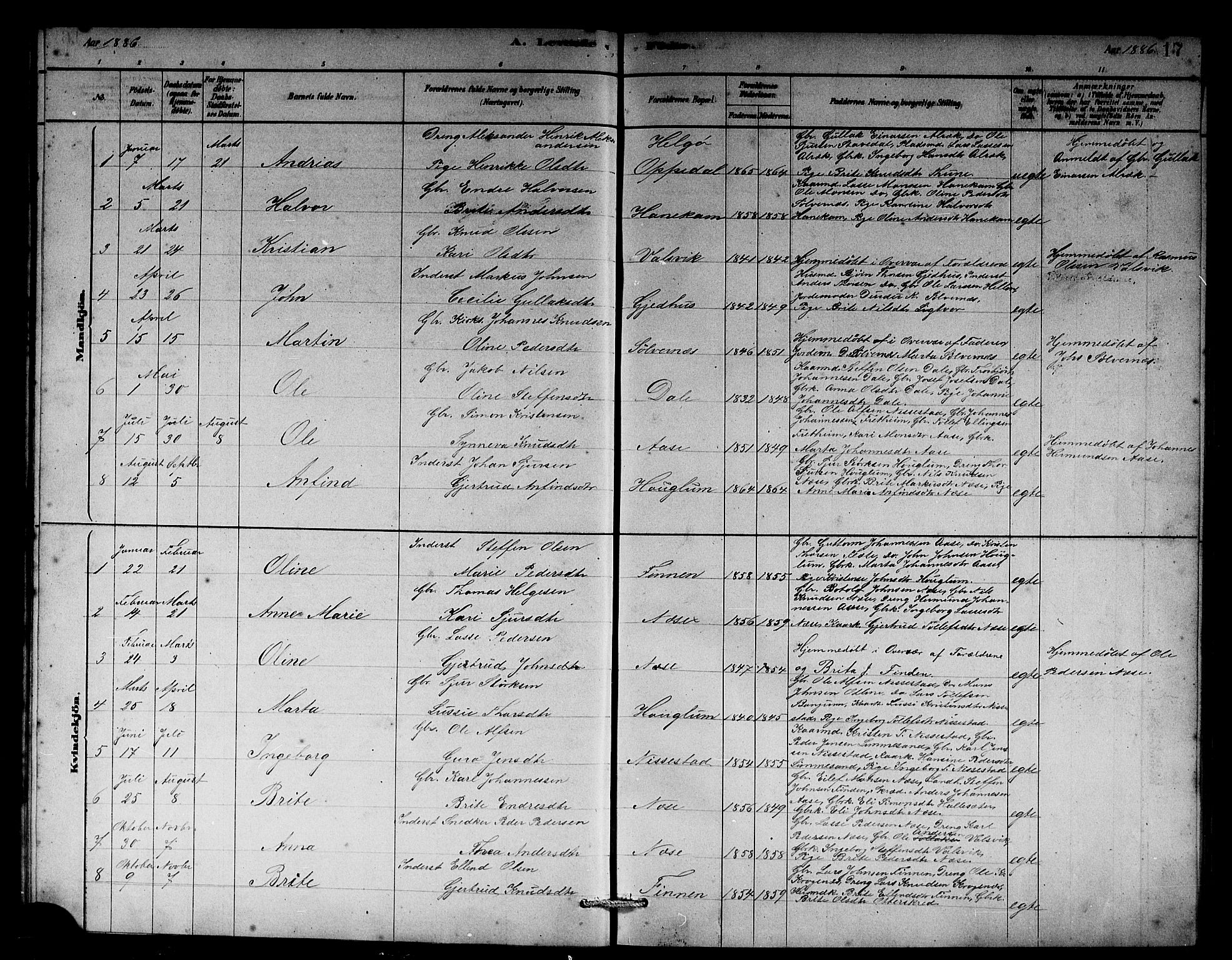 Vik sokneprestembete, AV/SAB-A-81501/H/Hab/Habb/L0002: Parish register (copy) no. B 2, 1878-1893, p. 17