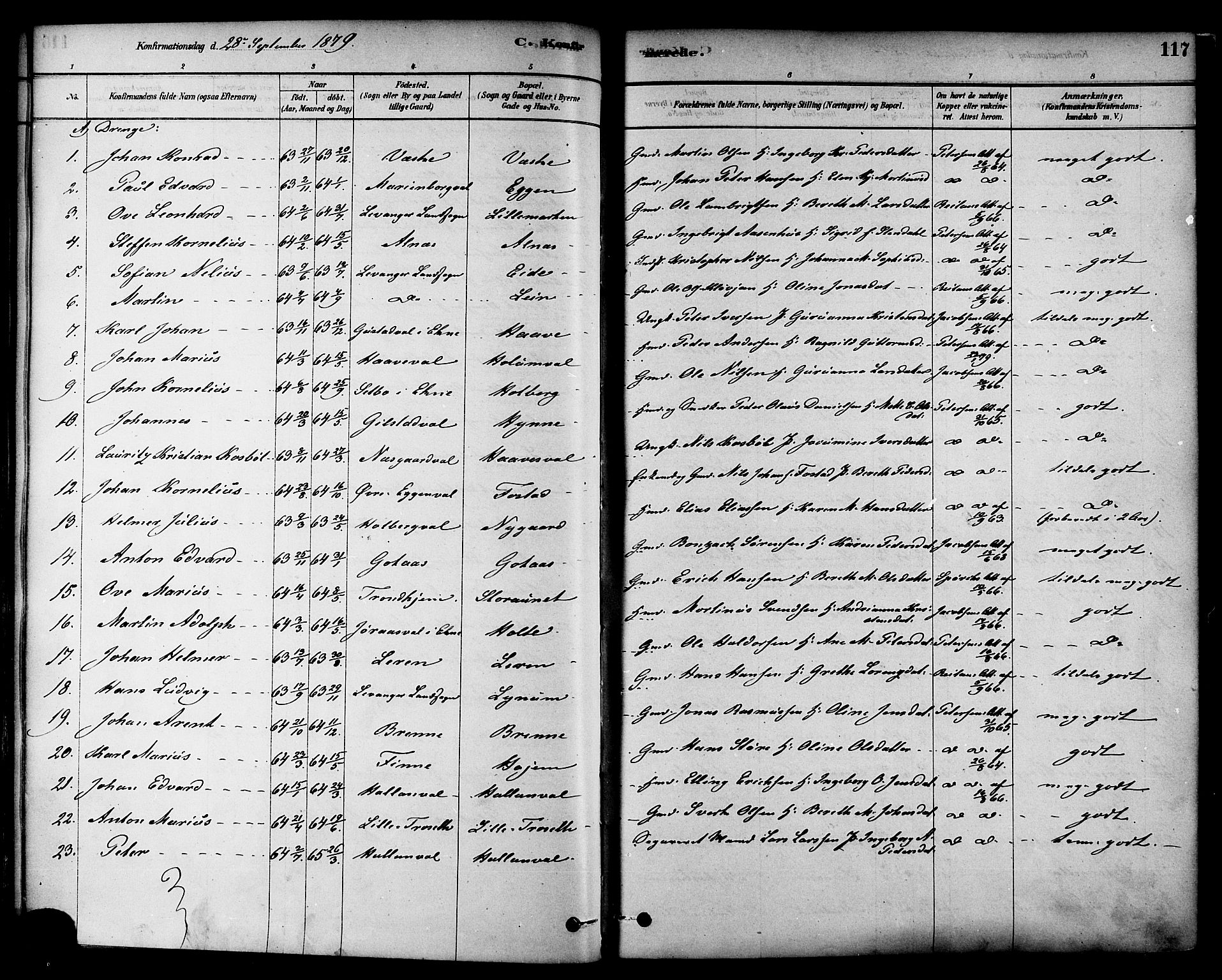 Ministerialprotokoller, klokkerbøker og fødselsregistre - Nord-Trøndelag, SAT/A-1458/717/L0159: Parish register (official) no. 717A09, 1878-1898, p. 117