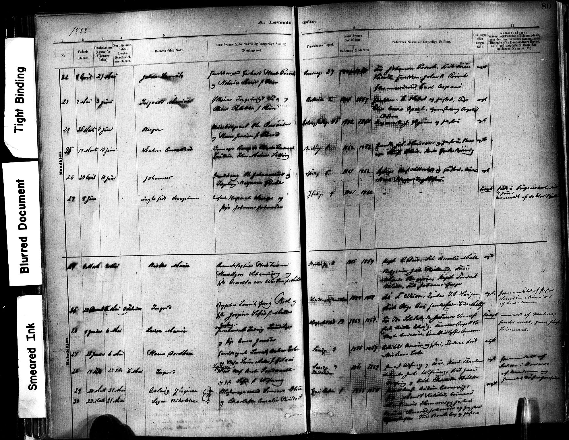 Ministerialprotokoller, klokkerbøker og fødselsregistre - Sør-Trøndelag, SAT/A-1456/602/L0119: Parish register (official) no. 602A17, 1880-1901, p. 80