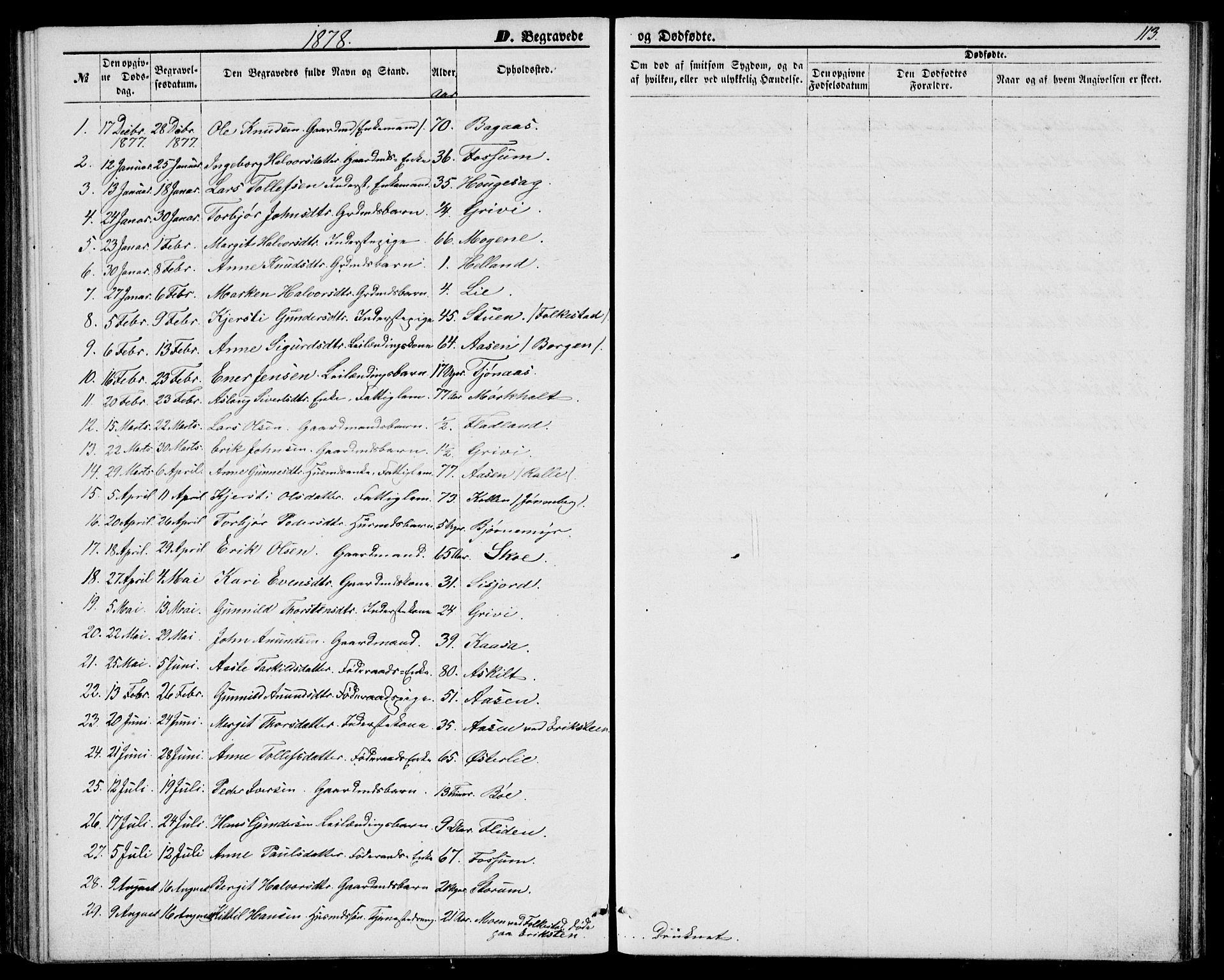 Bø kirkebøker, AV/SAKO-A-257/G/Ga/L0004: Parish register (copy) no. 4, 1876-1882, p. 113