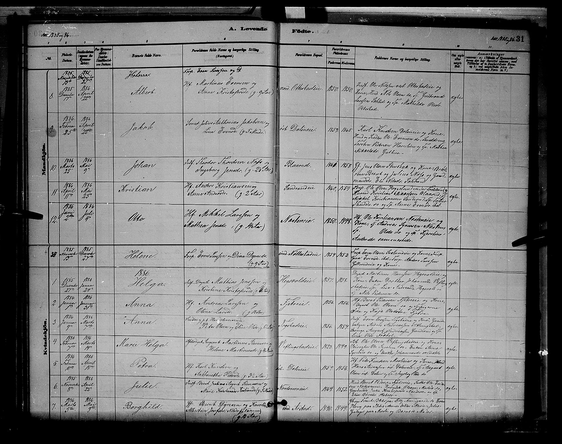 Stange prestekontor, AV/SAH-PREST-002/L/L0007: Parish register (copy) no. 7, 1880-1893, p. 31