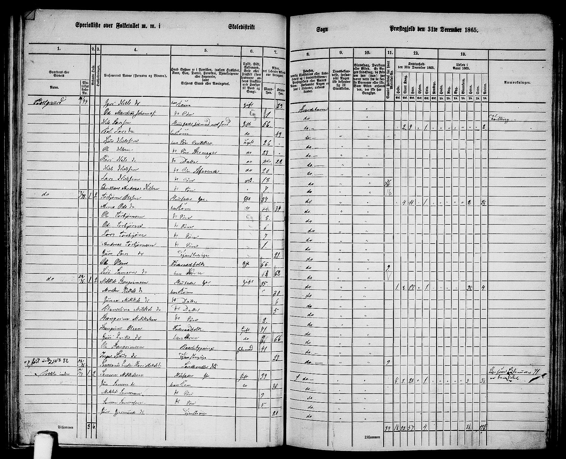 RA, 1865 census for Strandebarm, 1865, p. 125