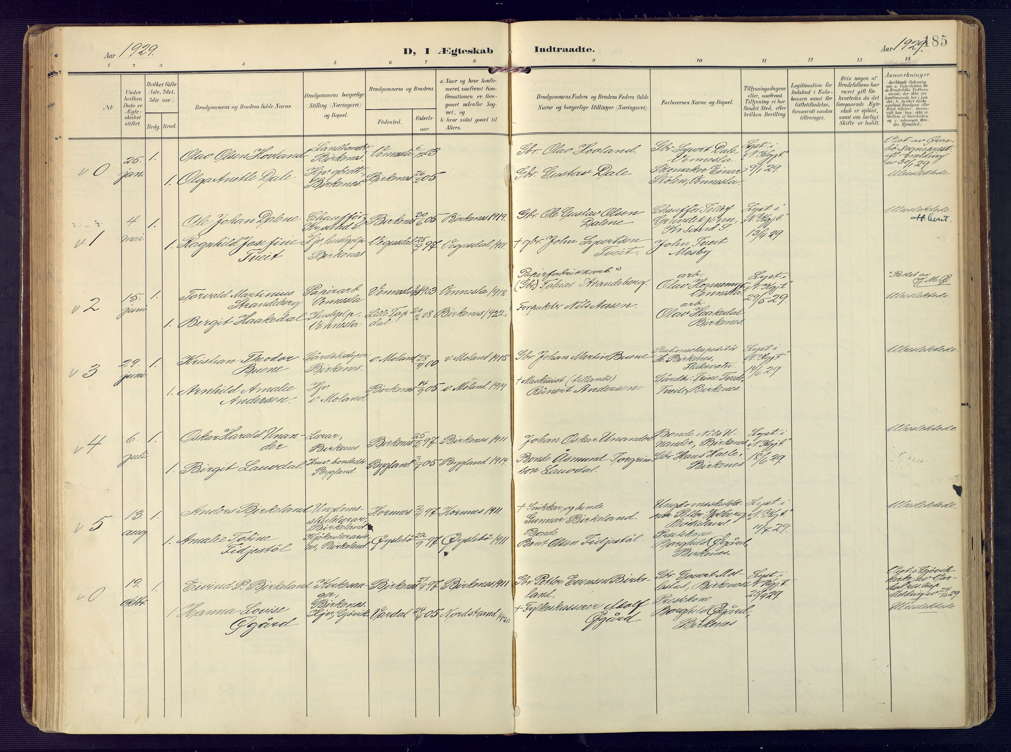 Birkenes sokneprestkontor, AV/SAK-1111-0004/F/Fa/L0006: Parish register (official) no. A 6, 1908-1932, p. 185