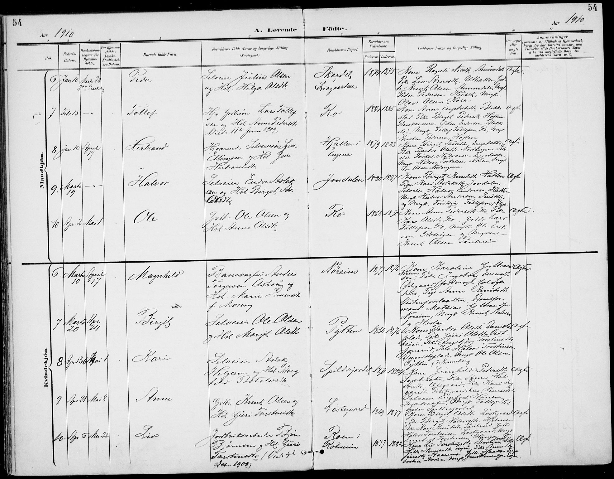 Gol kirkebøker, SAKO/A-226/F/Fa/L0006: Parish register (official) no. I 6, 1901-1918, p. 54