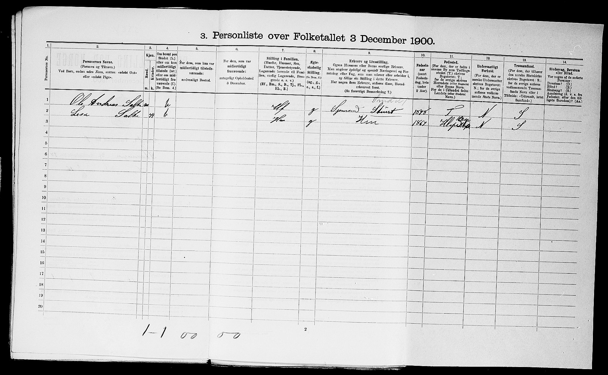 SAST, 1900 census for Stavanger, 1900, p. 13064