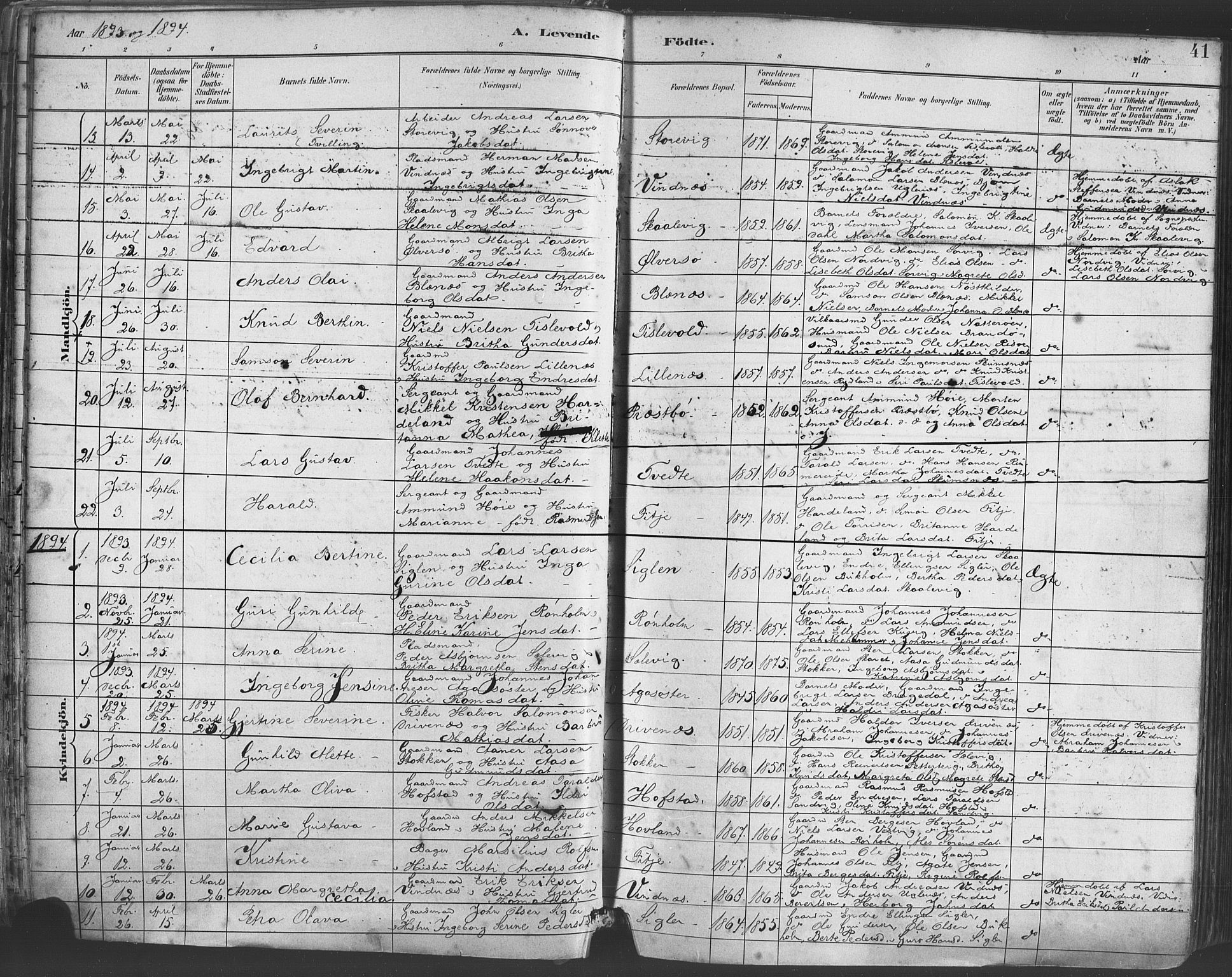 Fitjar sokneprestembete, SAB/A-99926: Parish register (official) no. A 2, 1882-1899, p. 41