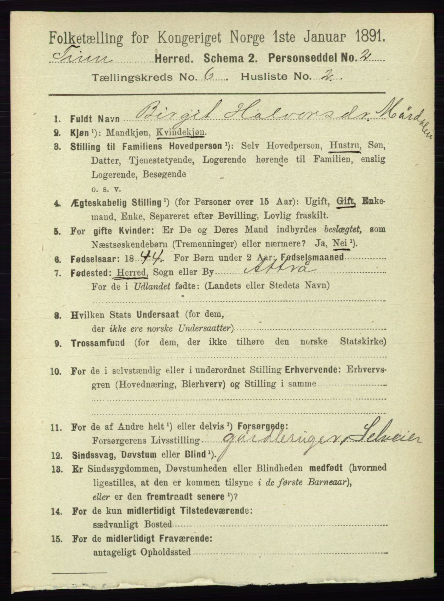 RA, 1891 census for 0826 Tinn, 1891, p. 1196