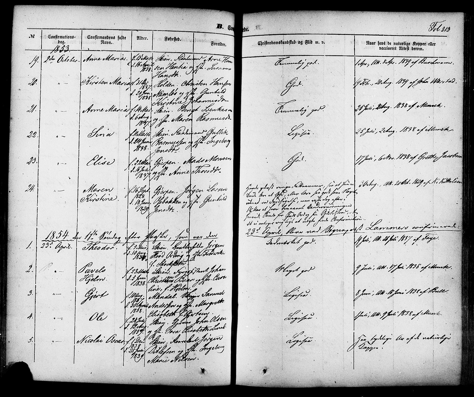 Skien kirkebøker, SAKO/A-302/F/Fa/L0006a: Parish register (official) no. 6A, 1843-1856, p. 213