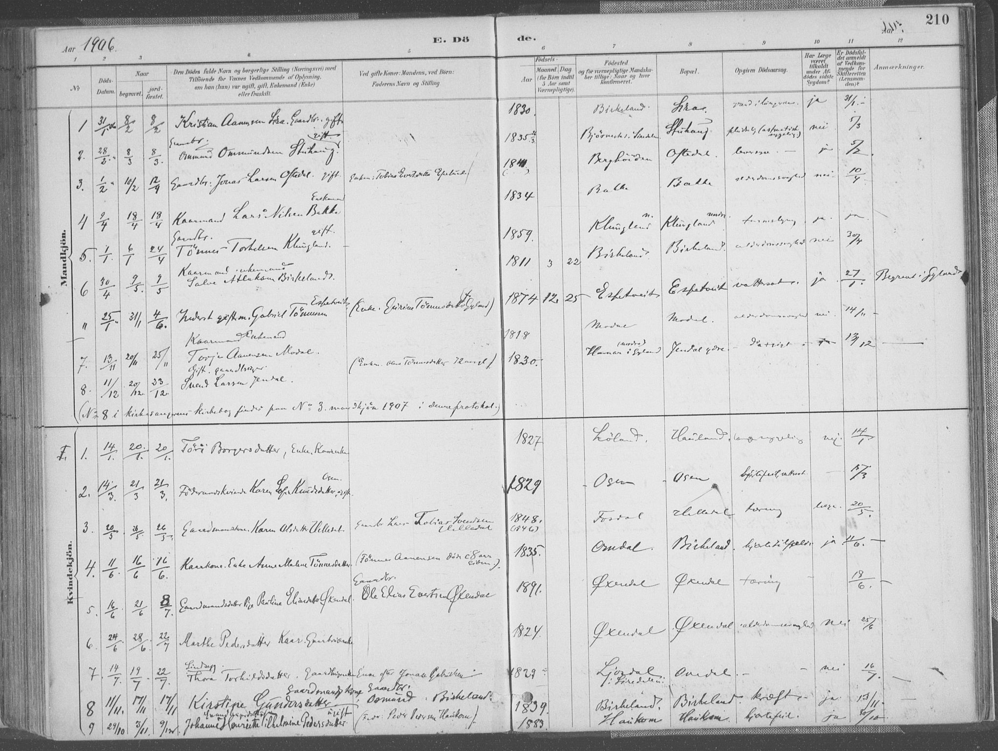 Bakke sokneprestkontor, SAK/1111-0002/F/Fa/Faa/L0008: Parish register (official) no. A 8, 1887-1911, p. 210