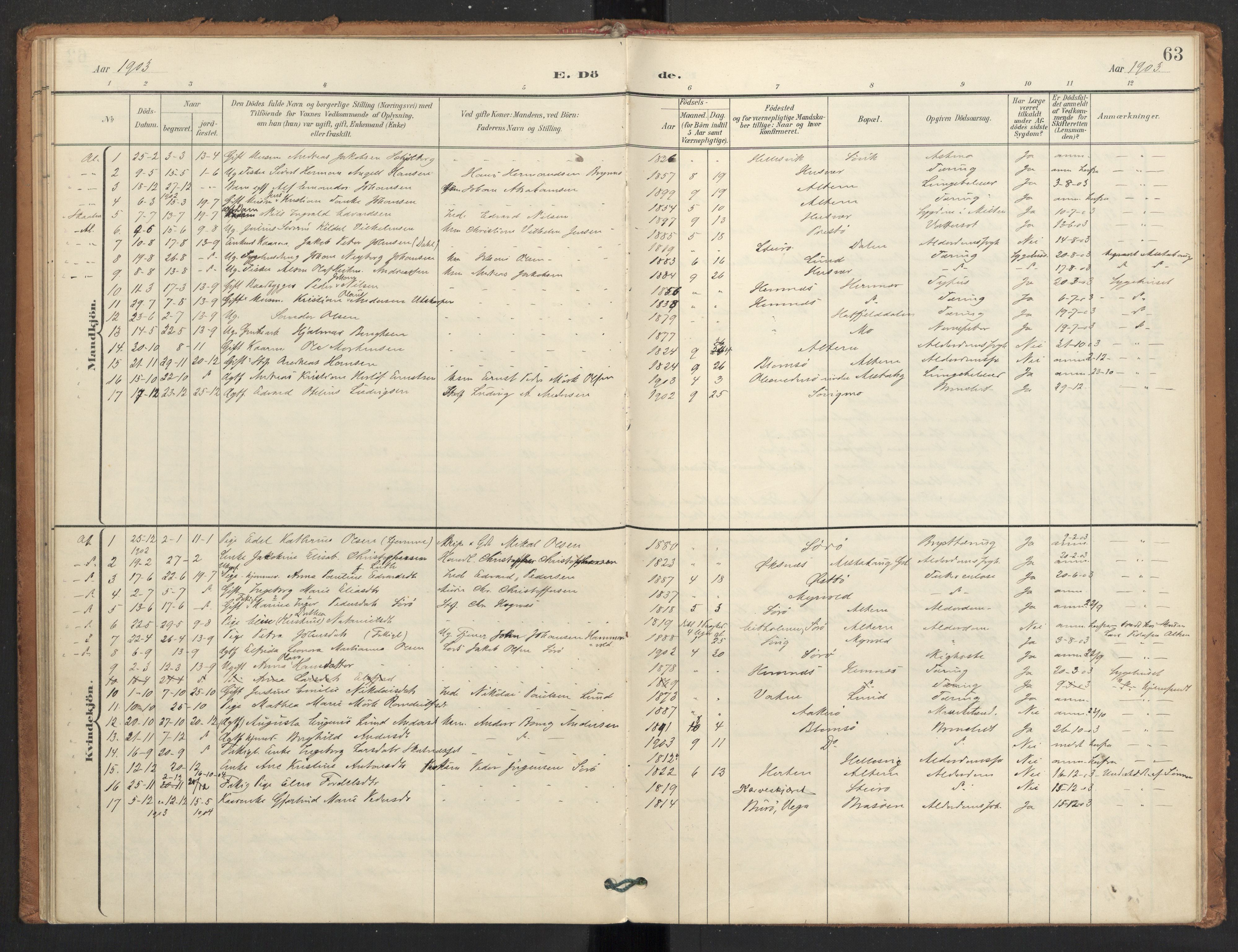 Ministerialprotokoller, klokkerbøker og fødselsregistre - Nordland, SAT/A-1459/830/L0454: Parish register (official) no. 830A18, 1897-1913, p. 63