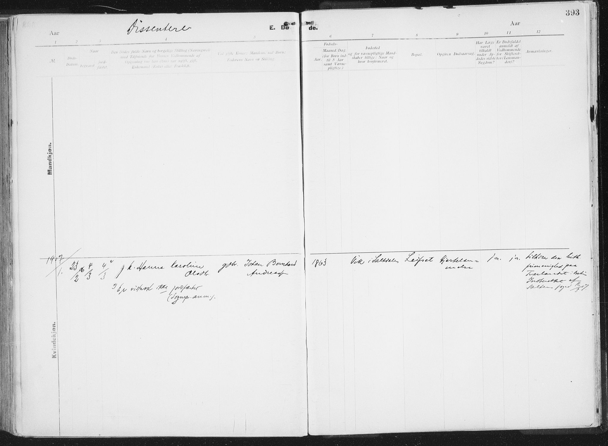 Ministerialprotokoller, klokkerbøker og fødselsregistre - Nordland, SAT/A-1459/849/L0696: Parish register (official) no. 849A08, 1898-1910, p. 393