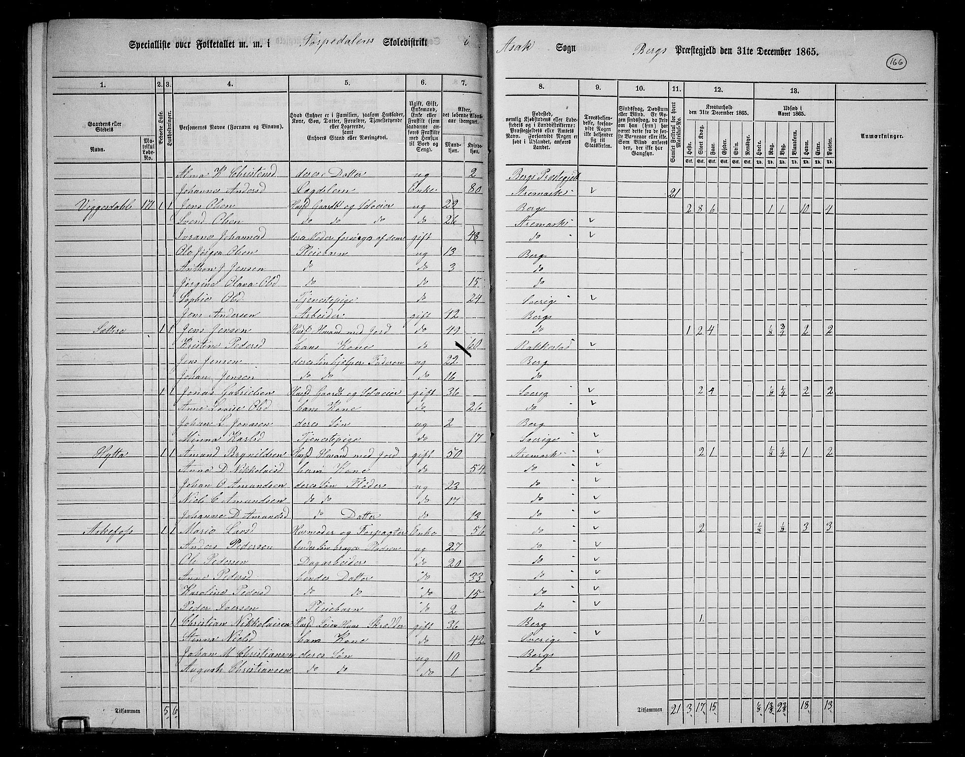 RA, 1865 census for Berg, 1865, p. 144