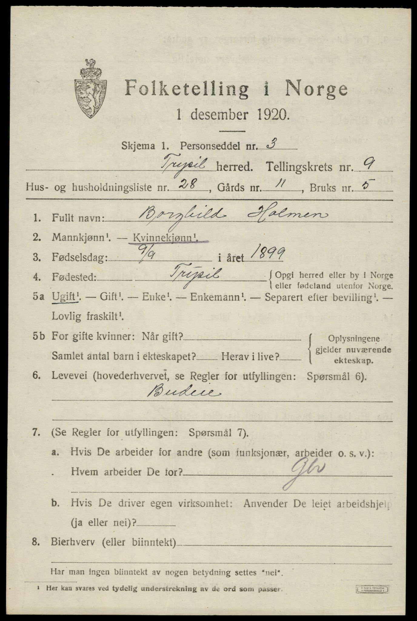 SAH, 1920 census for Trysil, 1920, p. 6861