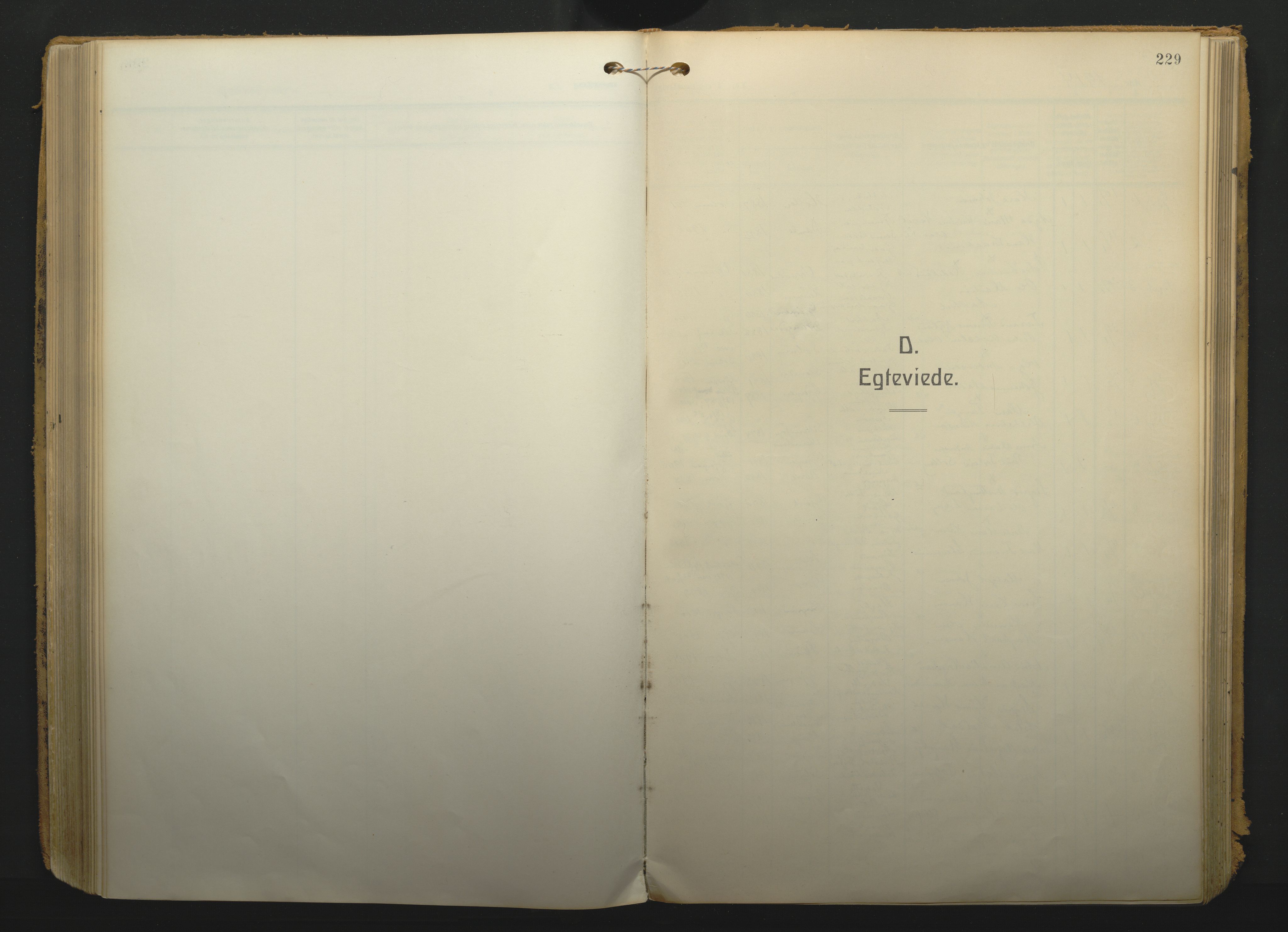 Gjerpen kirkebøker, SAKO/A-265/F/Fa/L0013: Parish register (official) no. I 13, 1914-1924, p. 229