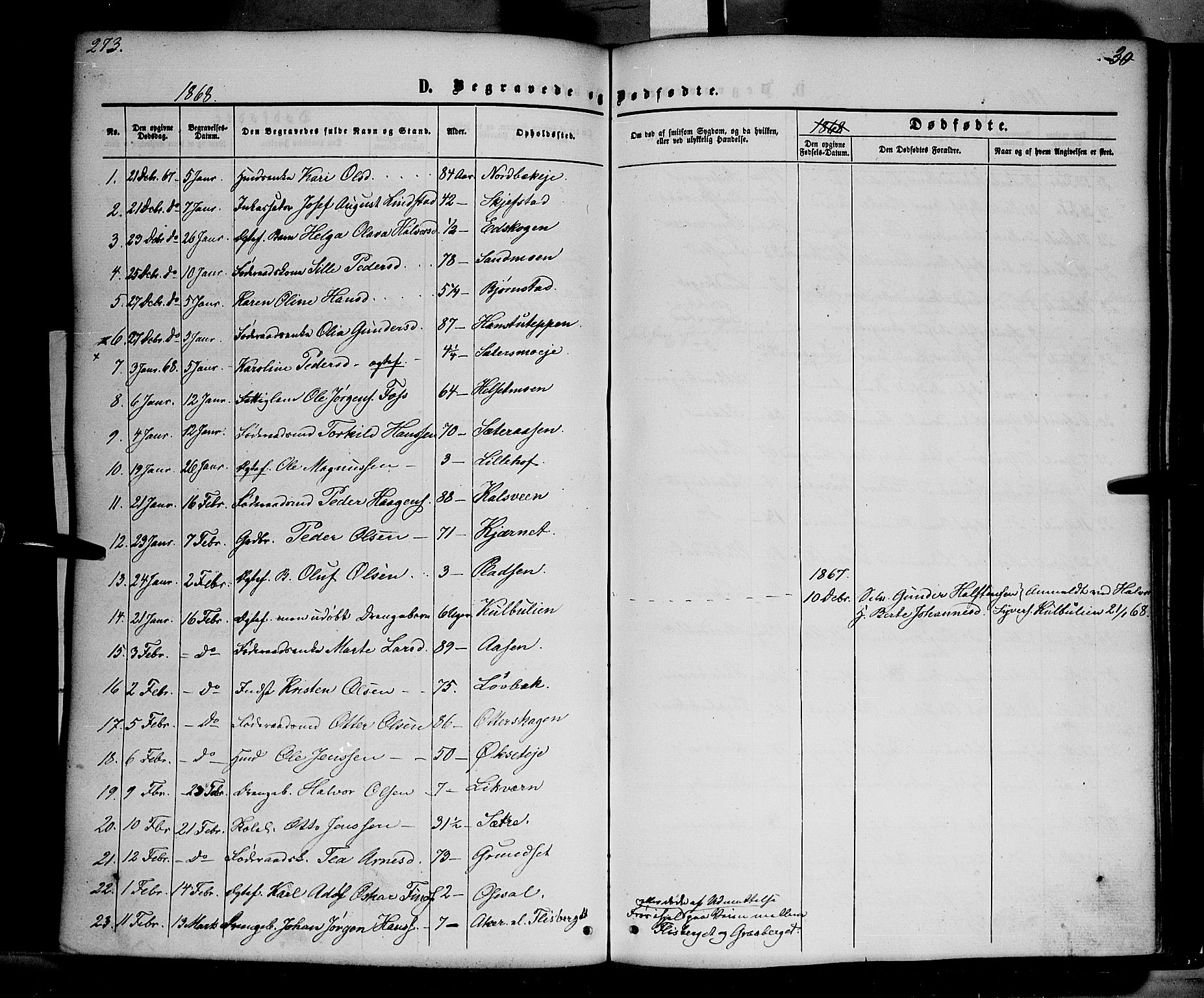 Elverum prestekontor, SAH/PREST-044/H/Ha/Haa/L0010: Parish register (official) no. 10, 1857-1868, p. 273
