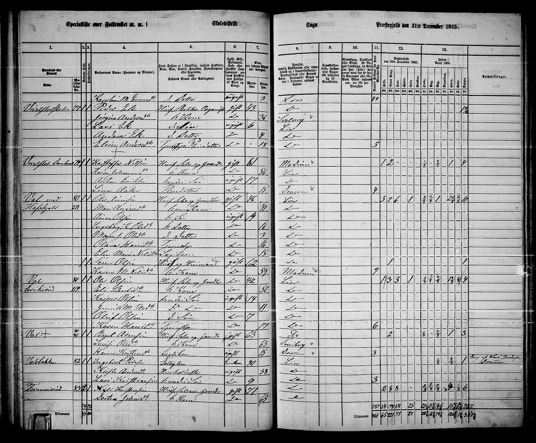 RA, 1865 census for Lier, 1865, p. 56