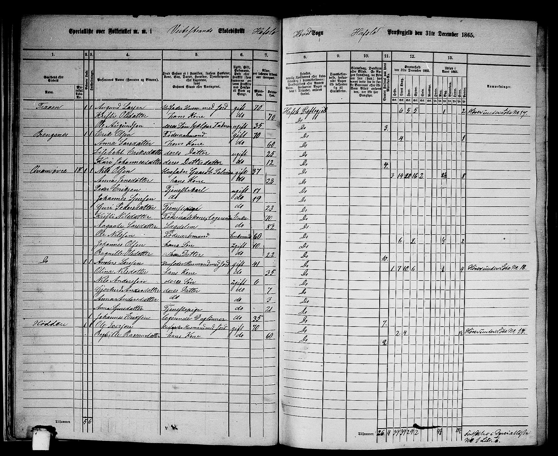 RA, 1865 census for Hafslo, 1865, p. 20