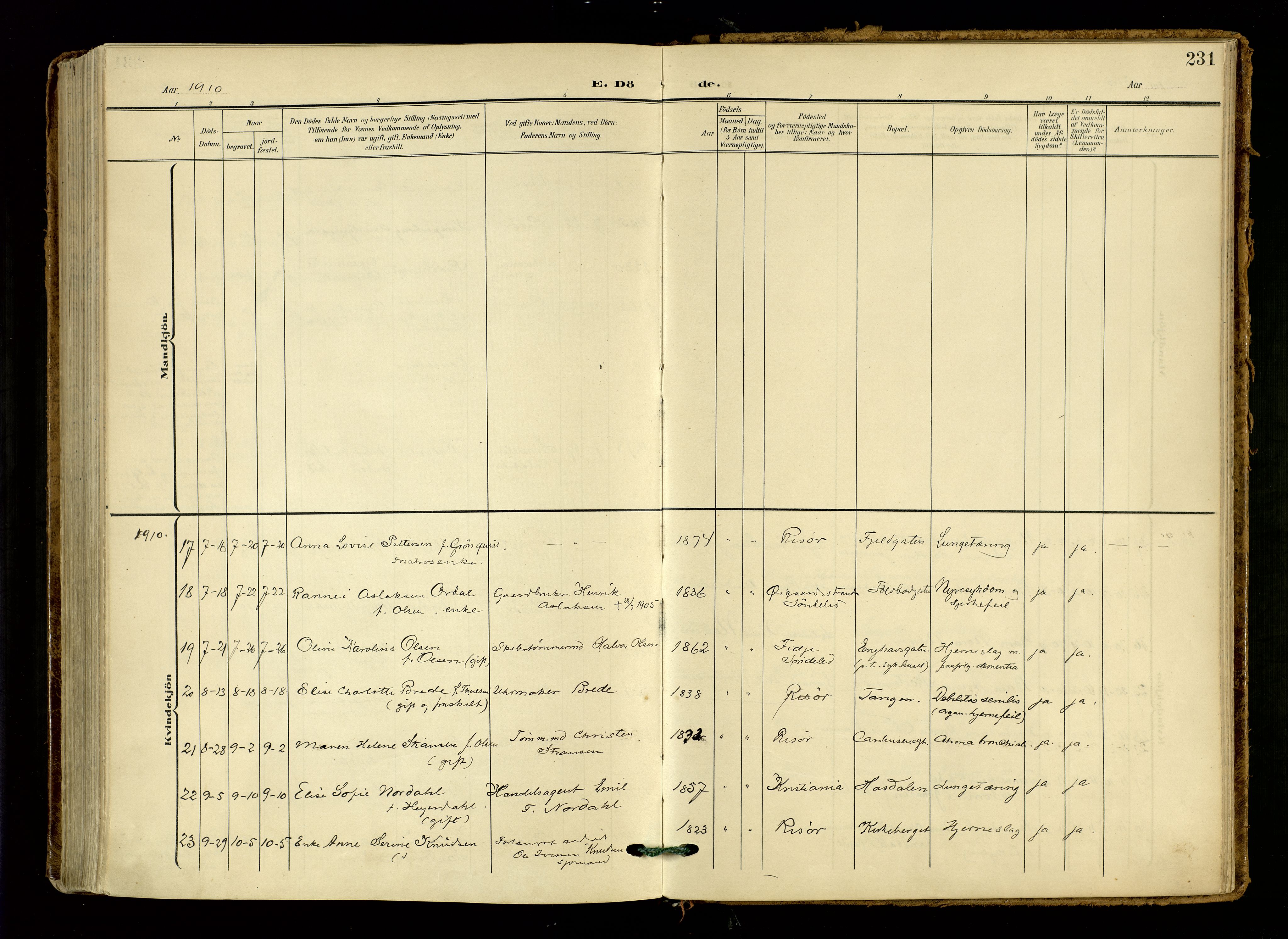 Risør sokneprestkontor, AV/SAK-1111-0035/F/Fa/L0011: Parish register (official) no. A 11, 1907-1920, p. 231