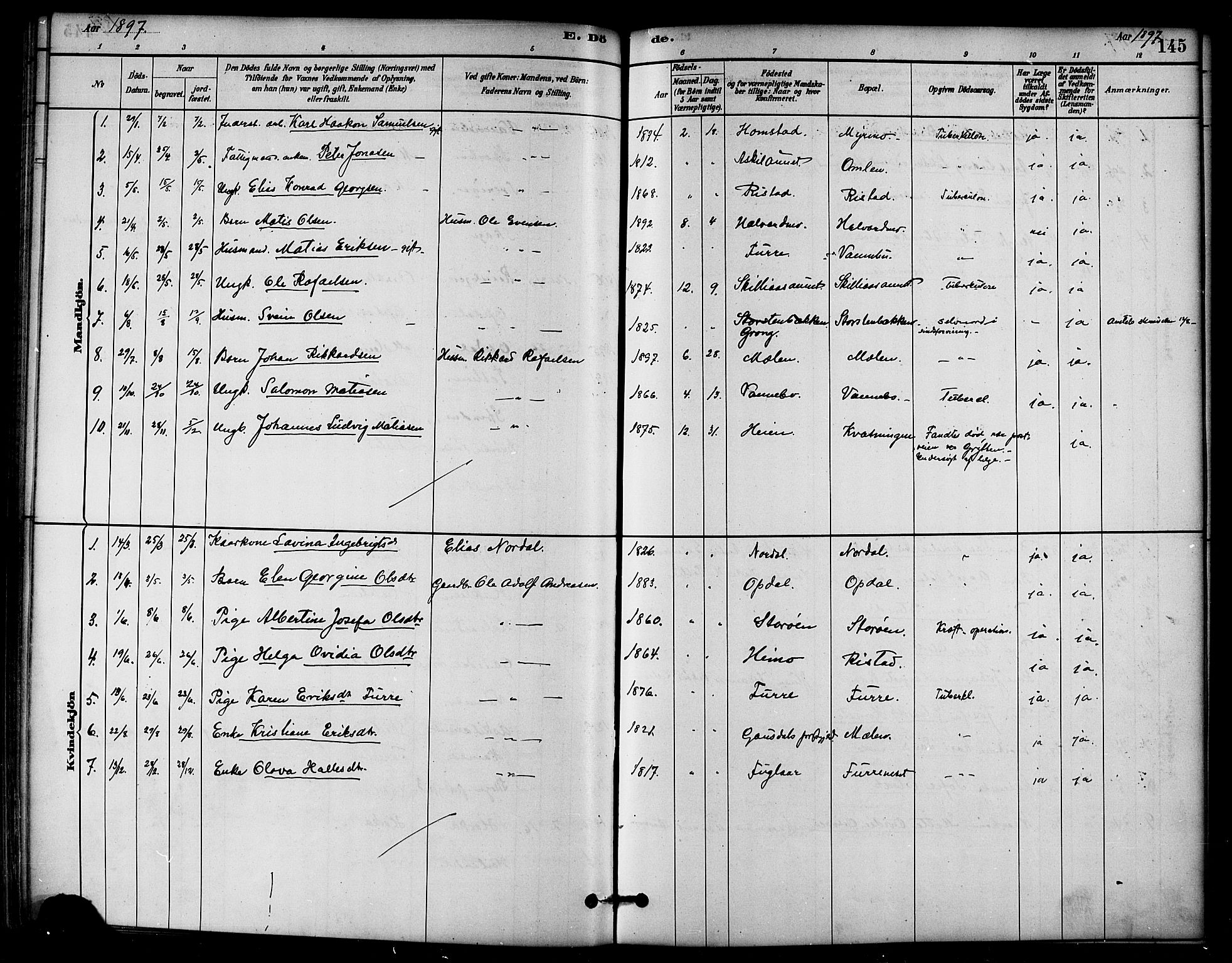 Ministerialprotokoller, klokkerbøker og fødselsregistre - Nord-Trøndelag, SAT/A-1458/766/L0563: Parish register (official) no. 767A01, 1881-1899, p. 145