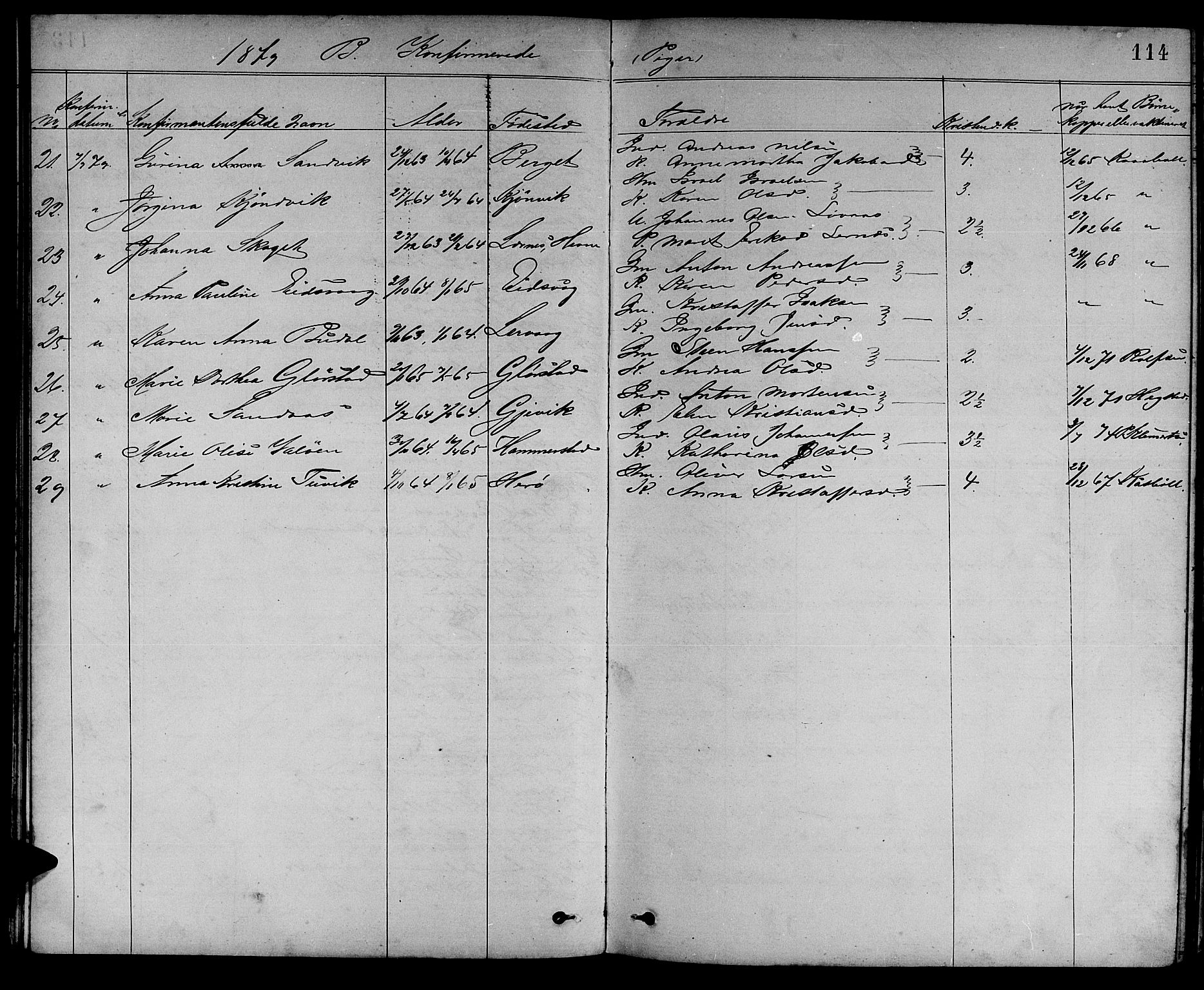Ministerialprotokoller, klokkerbøker og fødselsregistre - Sør-Trøndelag, SAT/A-1456/637/L0561: Parish register (copy) no. 637C02, 1873-1882, p. 114
