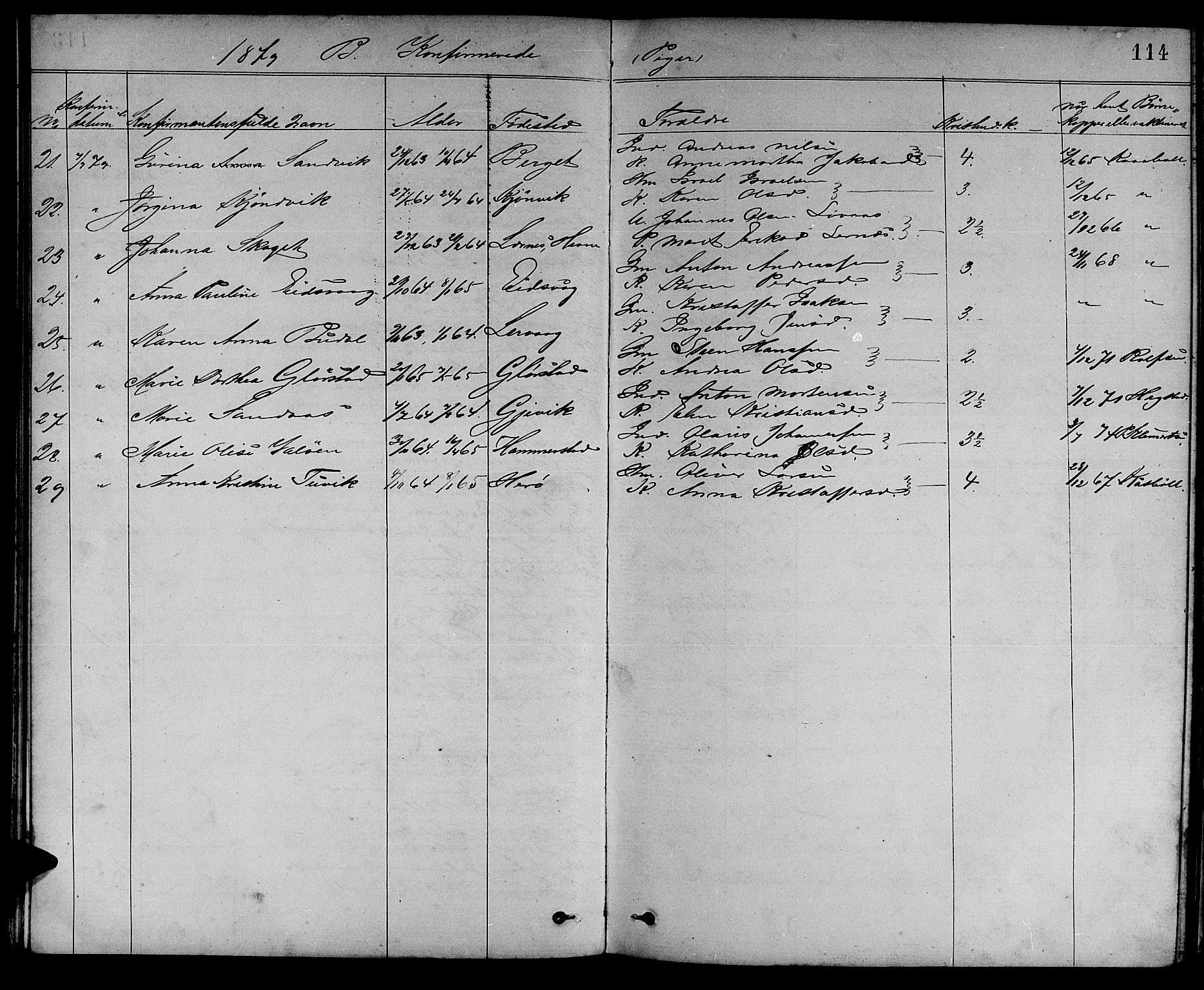 Ministerialprotokoller, klokkerbøker og fødselsregistre - Sør-Trøndelag, AV/SAT-A-1456/637/L0561: Parish register (copy) no. 637C02, 1873-1882, p. 114