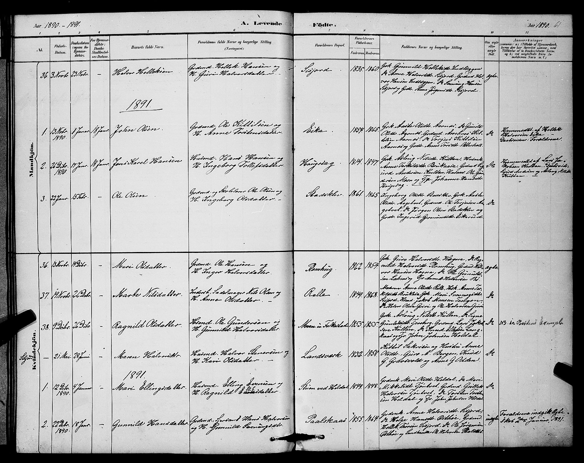 Bø kirkebøker, SAKO/A-257/G/Ga/L0005: Parish register (copy) no. 5, 1883-1897, p. 61