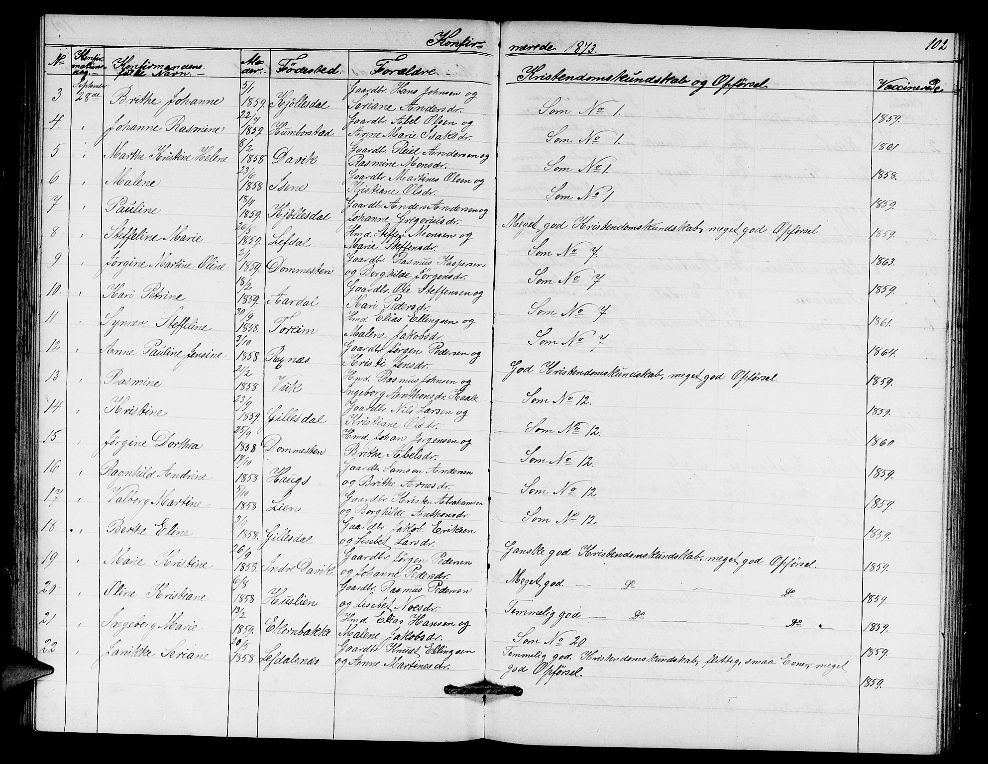 Davik sokneprestembete, AV/SAB-A-79701/H/Hab/Haba/L0001: Parish register (copy) no. A 1, 1866-1889, p. 102