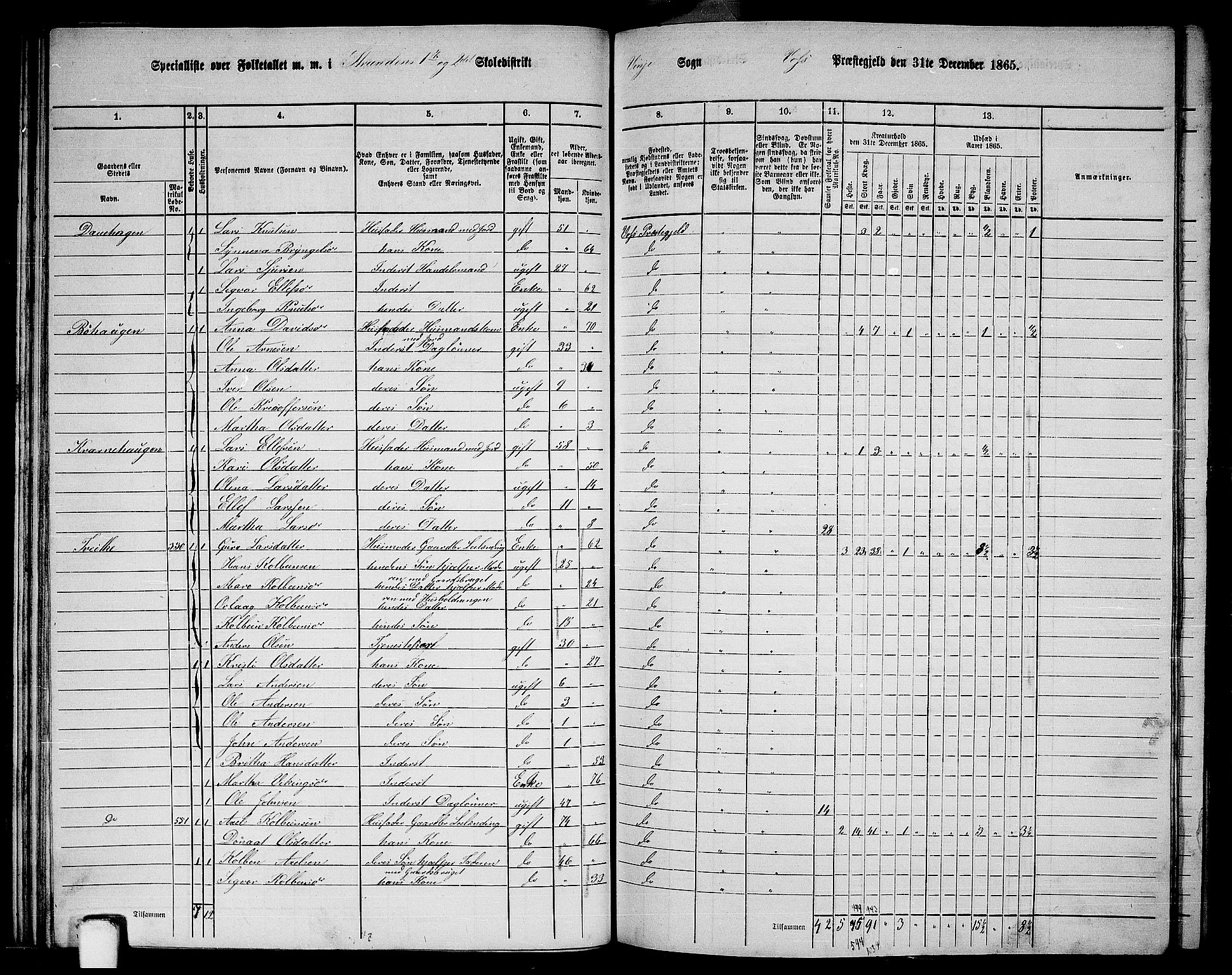 RA, 1865 census for Voss, 1865, p. 300