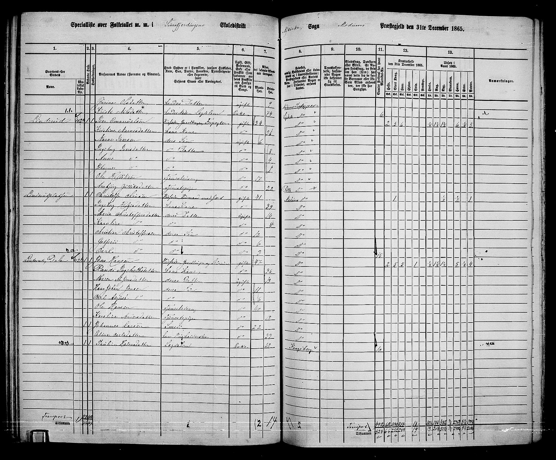 RA, 1865 census for Modum, 1865, p. 275