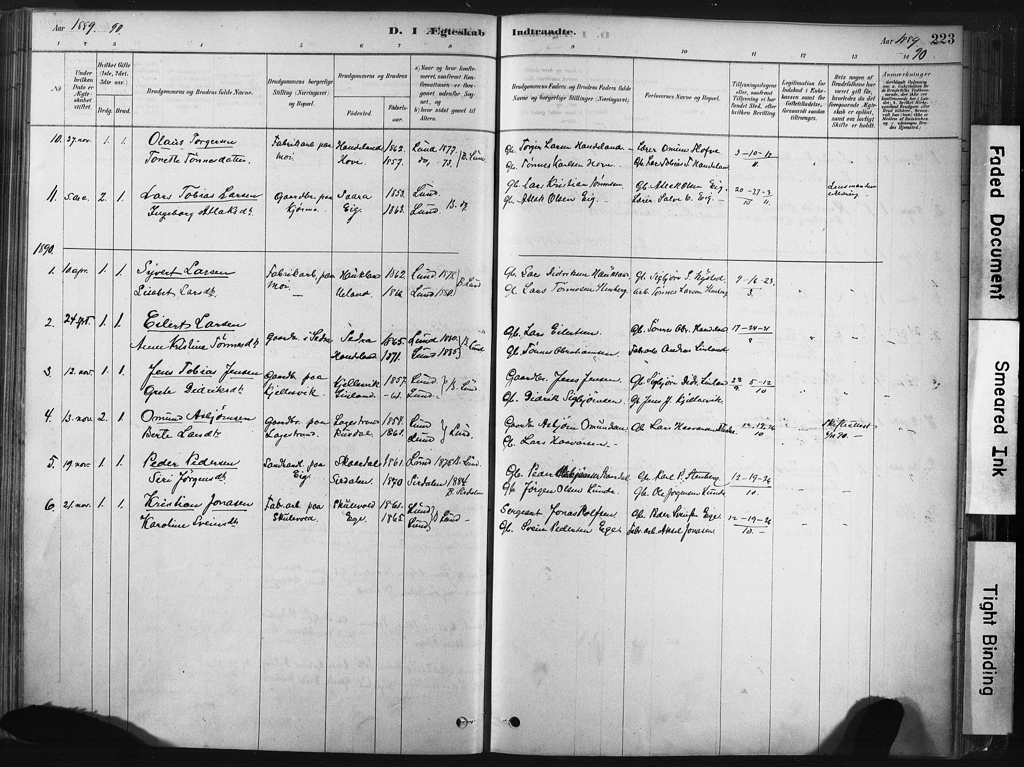 Lund sokneprestkontor, AV/SAST-A-101809/S06/L0011: Parish register (official) no. A 10, 1877-1904, p. 223