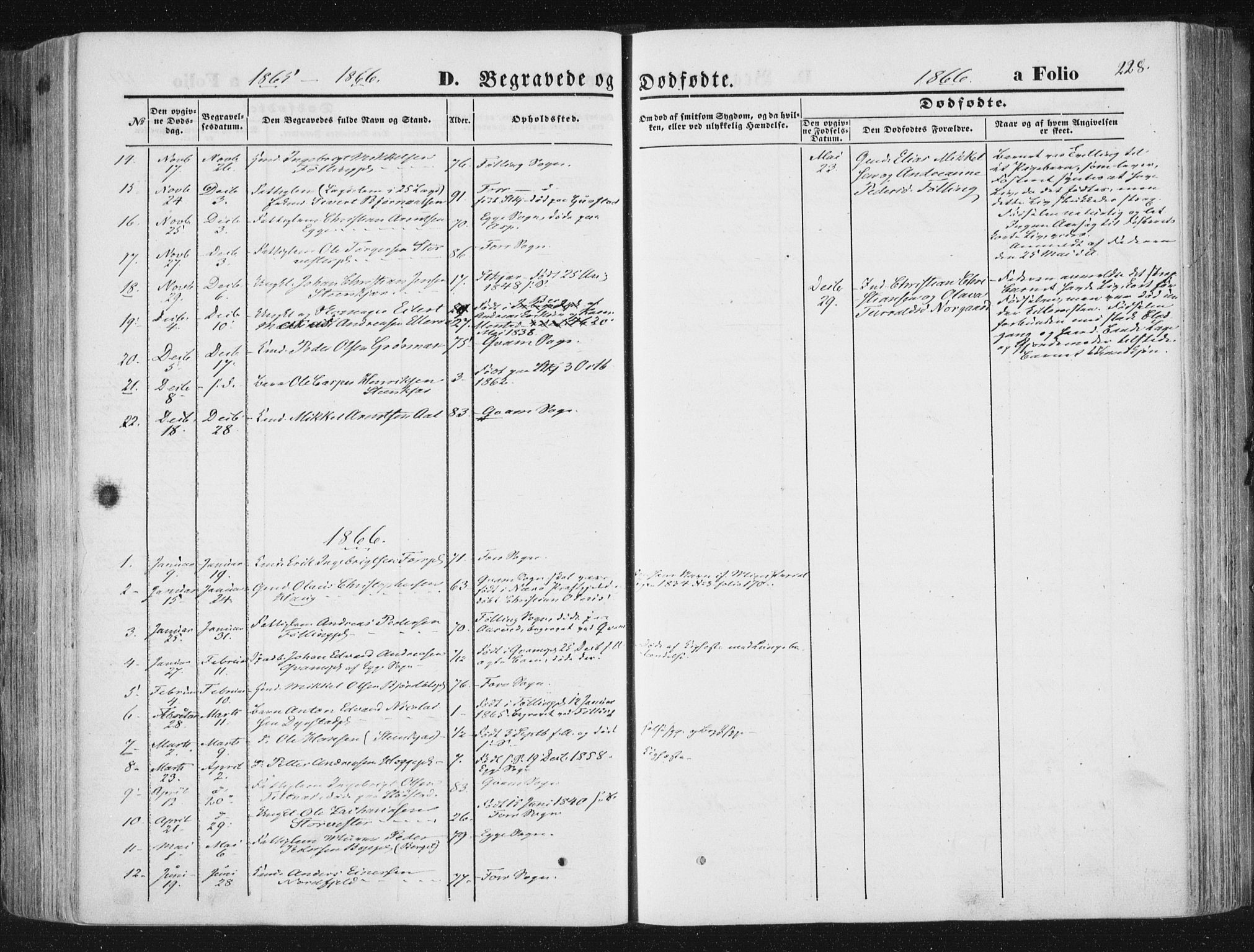 Ministerialprotokoller, klokkerbøker og fødselsregistre - Nord-Trøndelag, SAT/A-1458/746/L0447: Parish register (official) no. 746A06, 1860-1877, p. 228