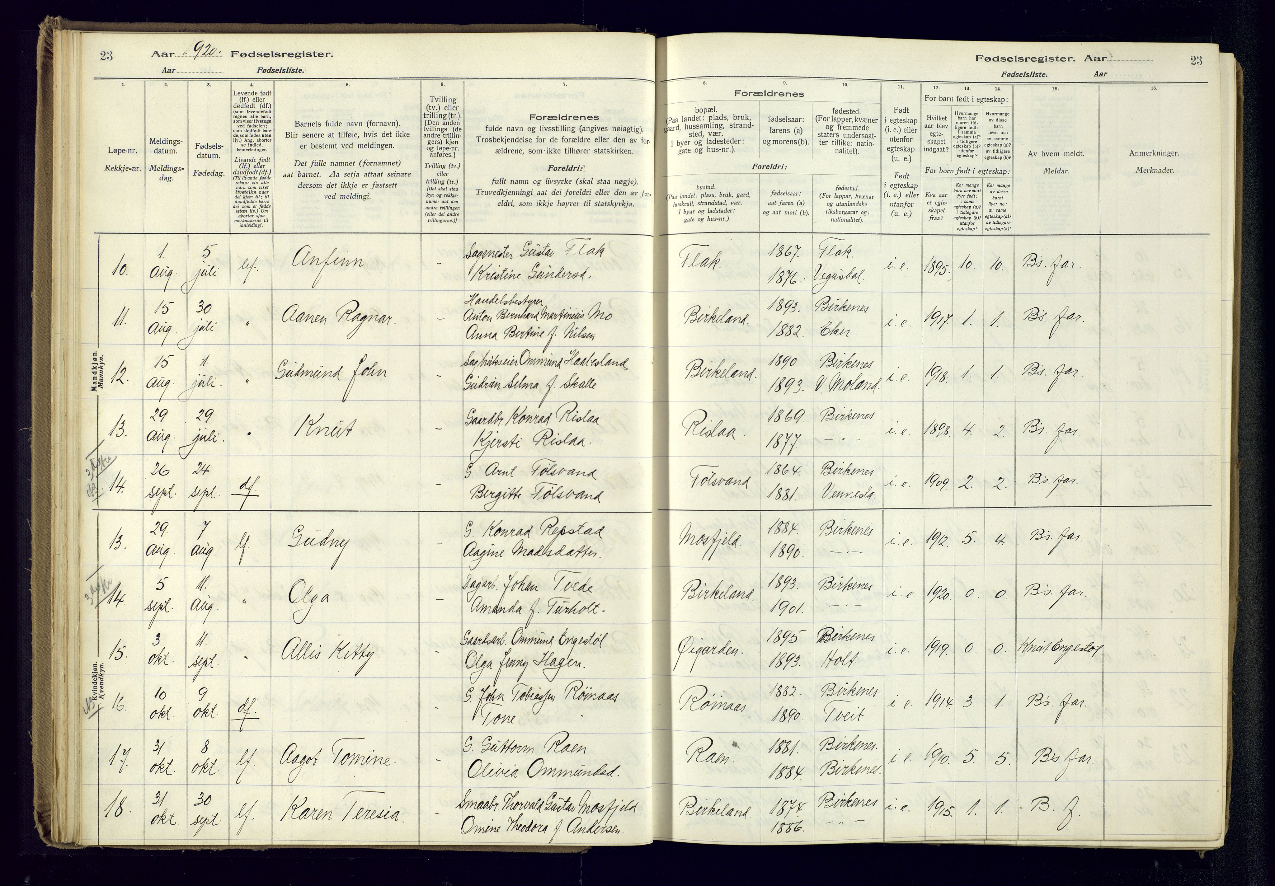 Birkenes sokneprestkontor, AV/SAK-1111-0004/J/Ja/L0001: Birth register no. II.6.4, 1916-1962, p. 23