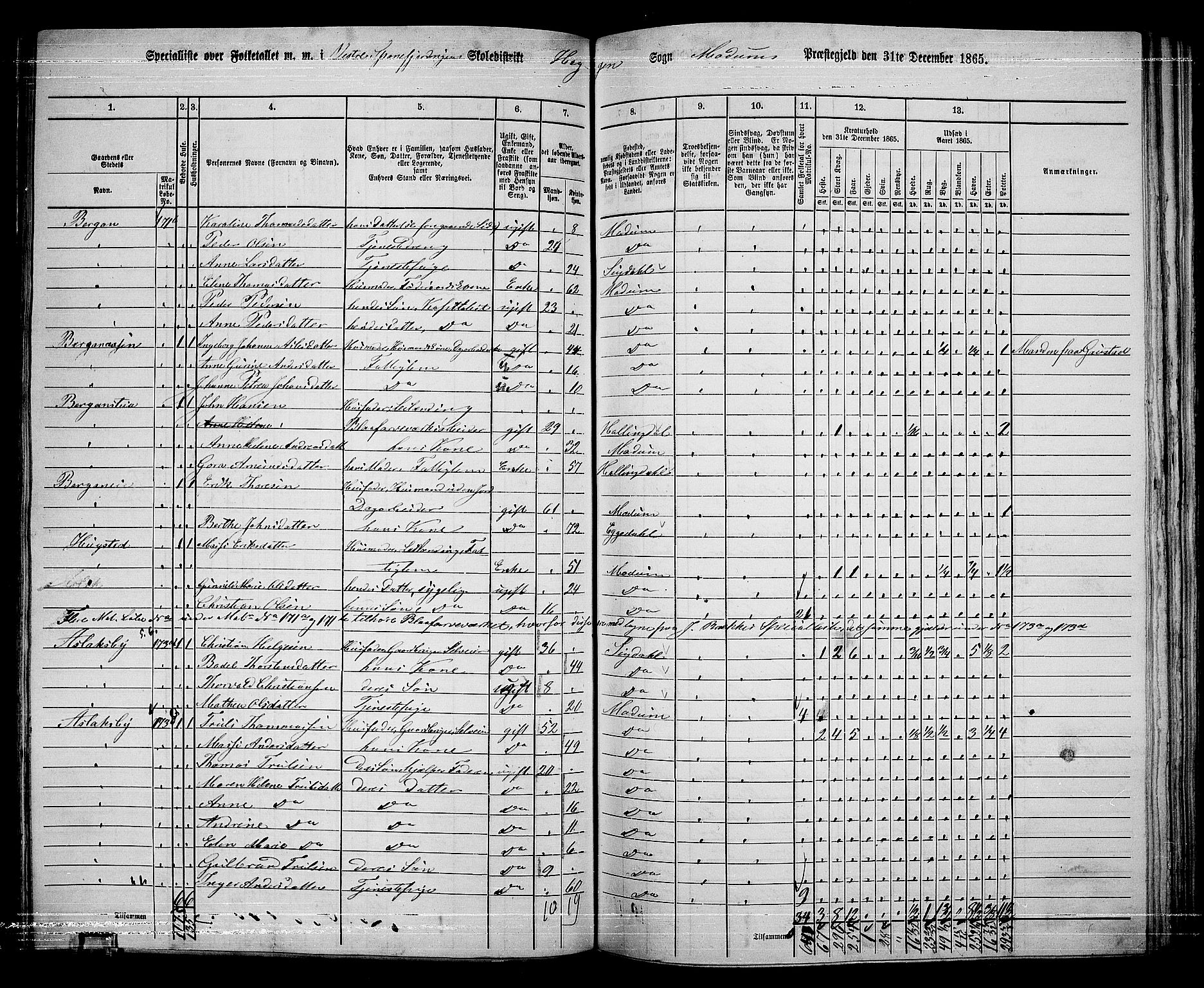 RA, 1865 census for Modum, 1865, p. 208