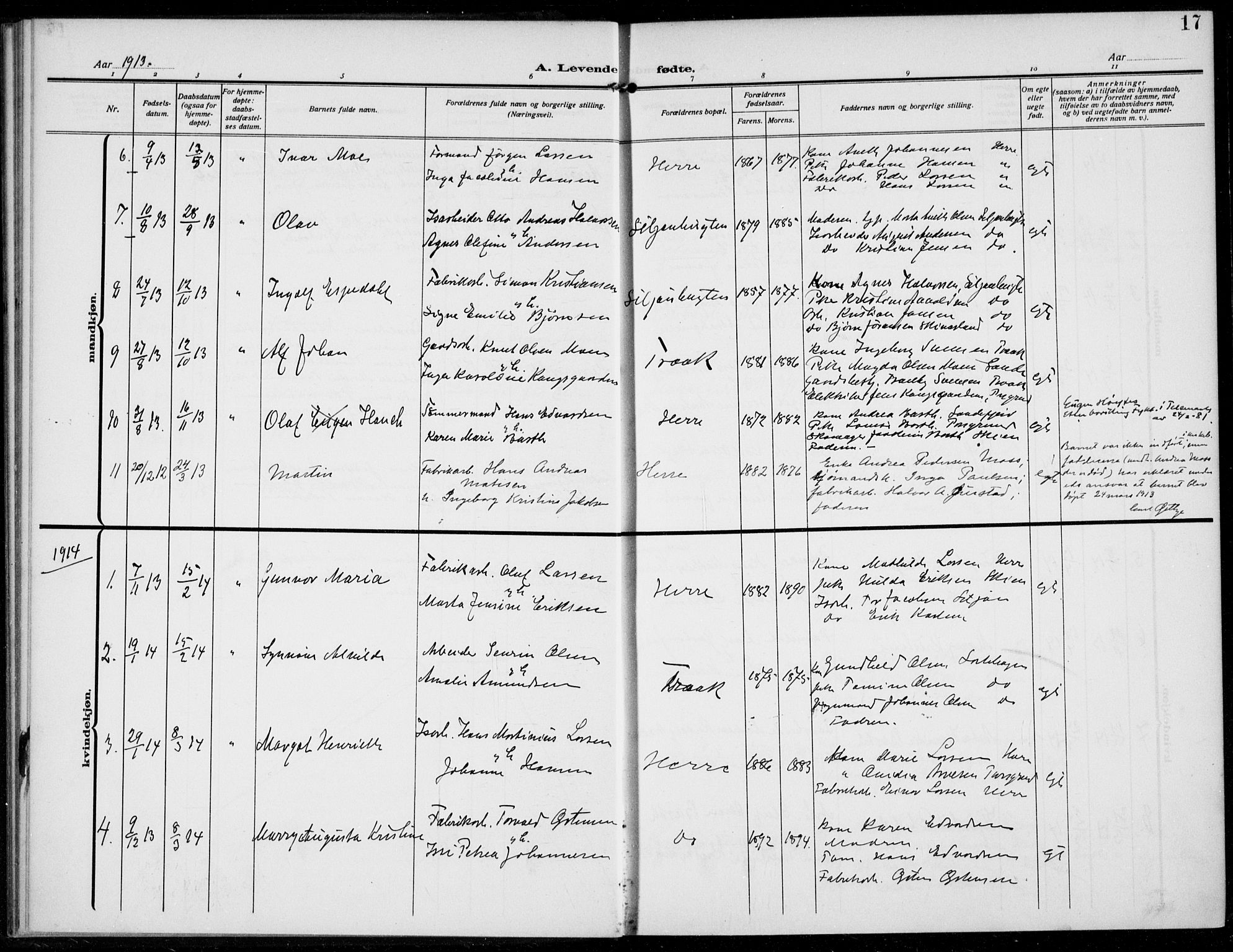 Bamble kirkebøker, SAKO/A-253/F/Fc/L0001: Parish register (official) no. III 1, 1909-1916, p. 17