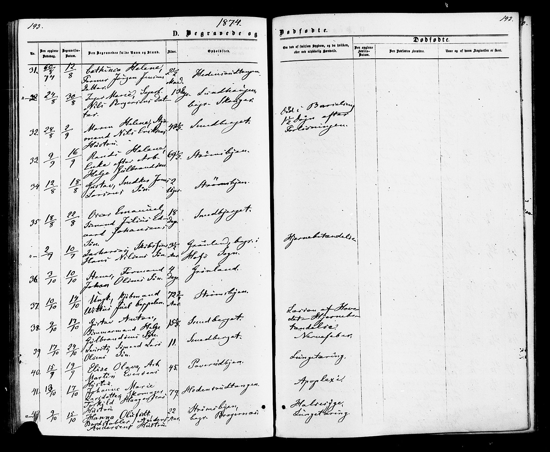 Strømsø kirkebøker, AV/SAKO-A-246/F/Fa/L0020: Parish register (official) no. I 20, 1870-1878, p. 193