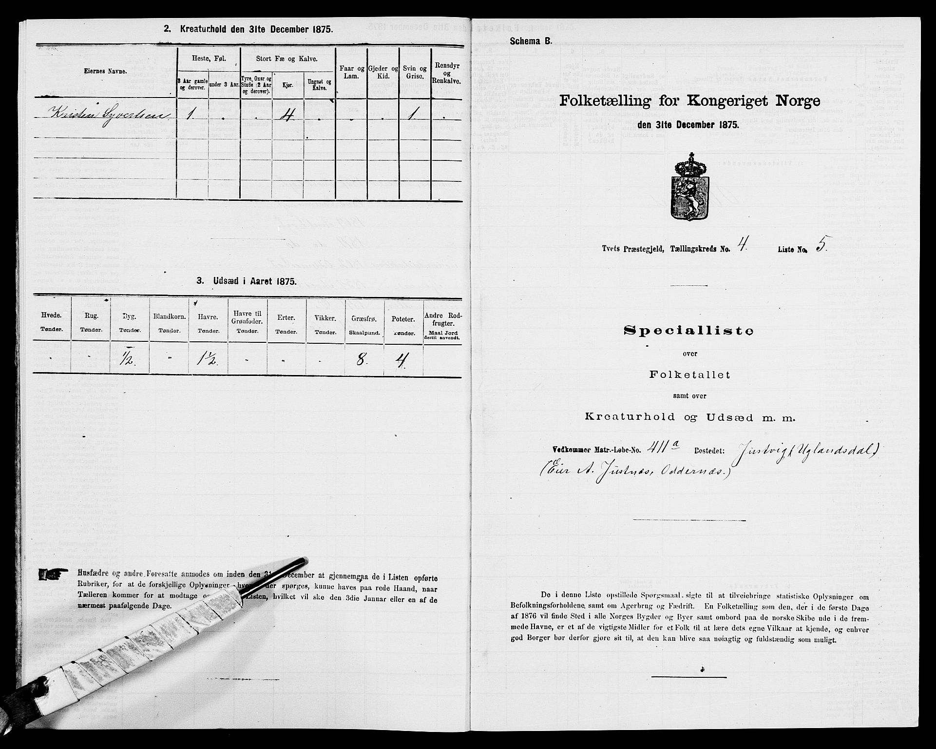 SAK, 1875 census for 1013P Tveit, 1875, p. 511