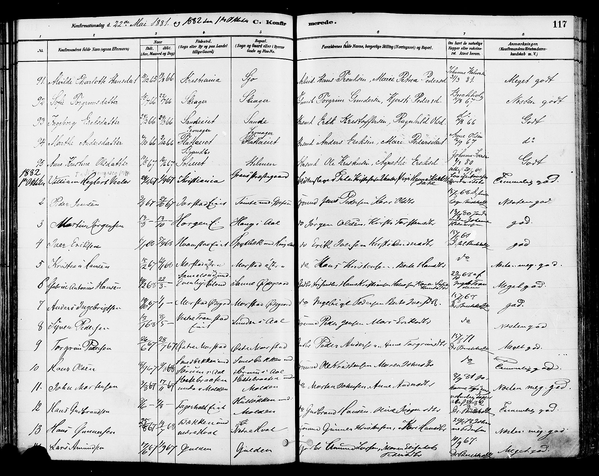 Gran prestekontor, SAH/PREST-112/H/Ha/Haa/L0014: Parish register (official) no. 14, 1880-1889, p. 117