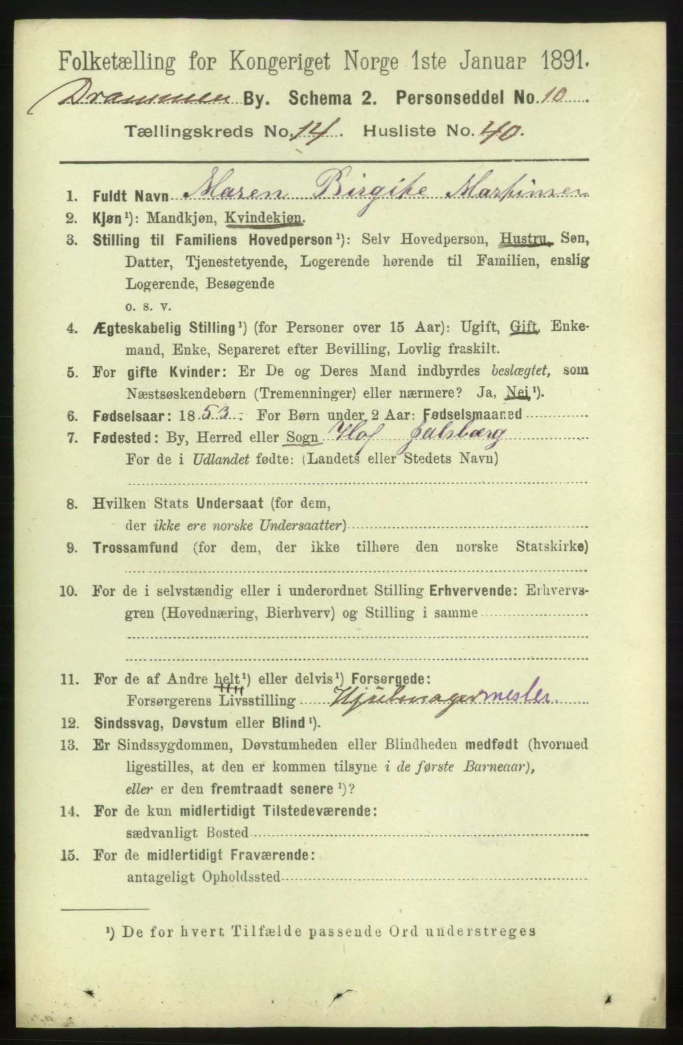 RA, 1891 census for 0602 Drammen, 1891, p. 10493